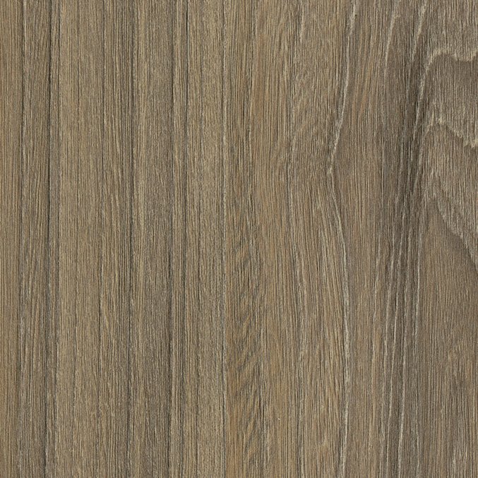 WG564 Impressive Elm