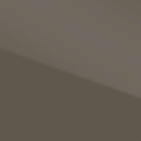 HGS04 Mocha Grey Highgloss