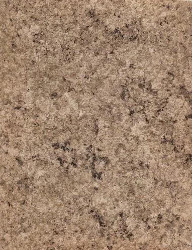 Granitto Fossil 2724