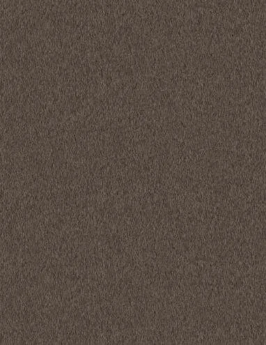 2507.jpg