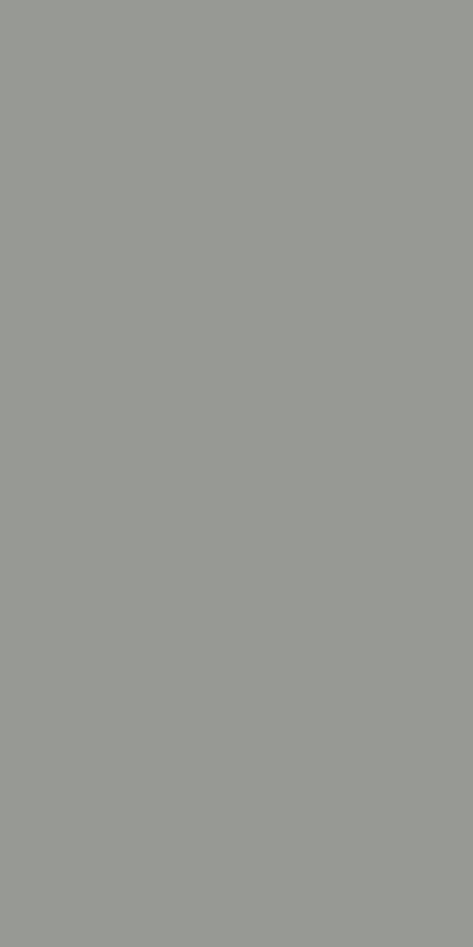 Grey Ace