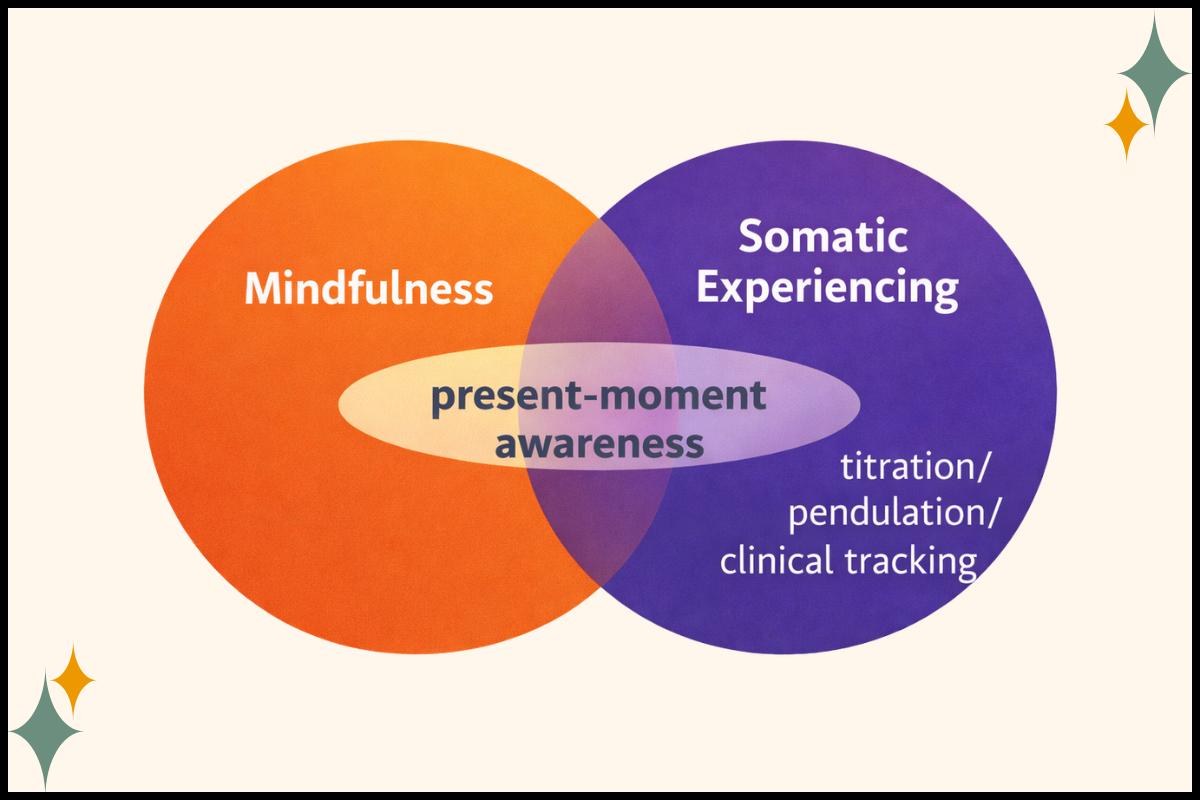 “Venn diagram comparing Somatic Experiencing and mindfulness in nervous system regulation therapy.”