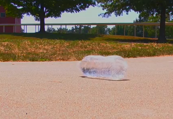 Simple Assignment for Beginners