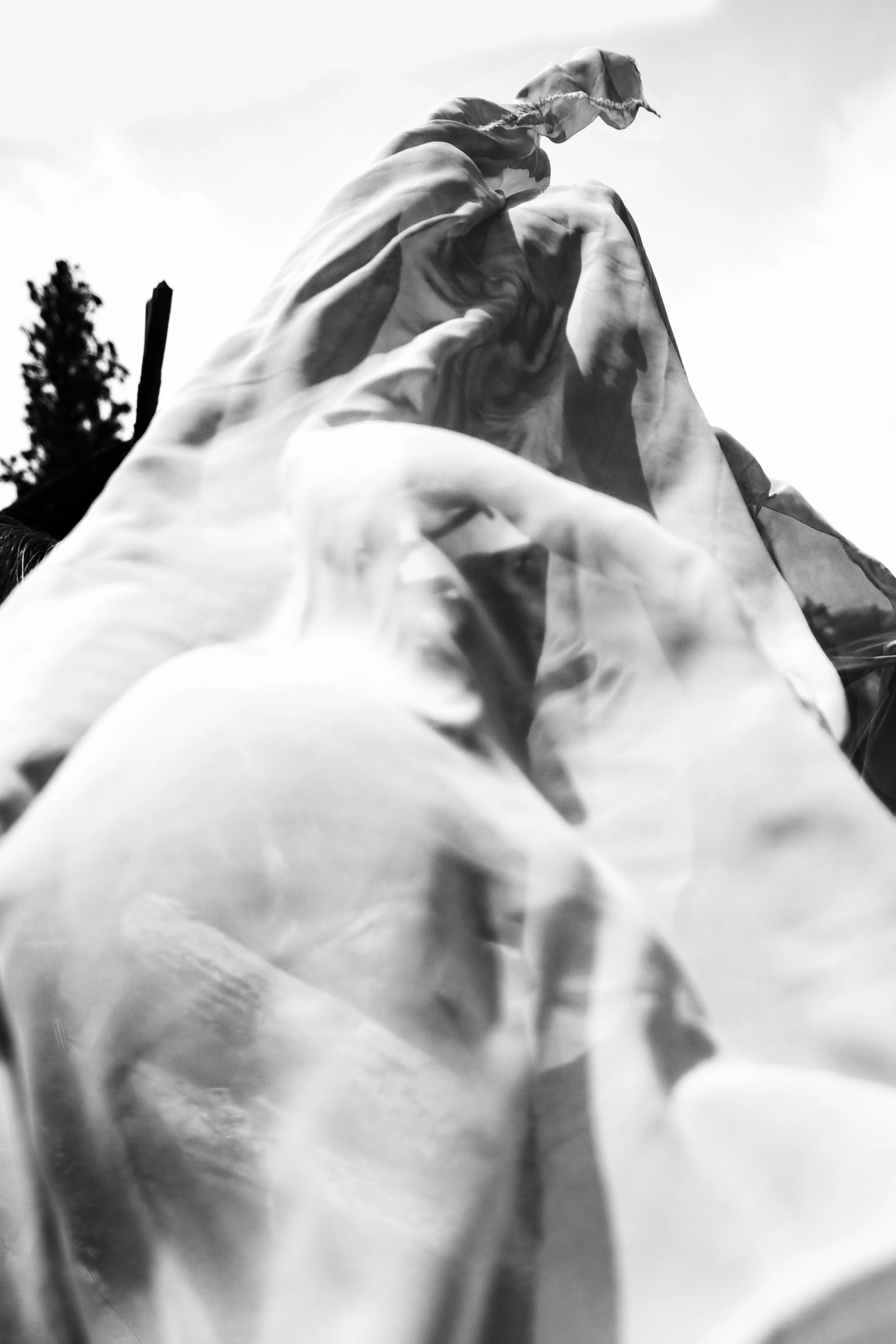 _B9A1820-Enhanced-NR 2.JPG