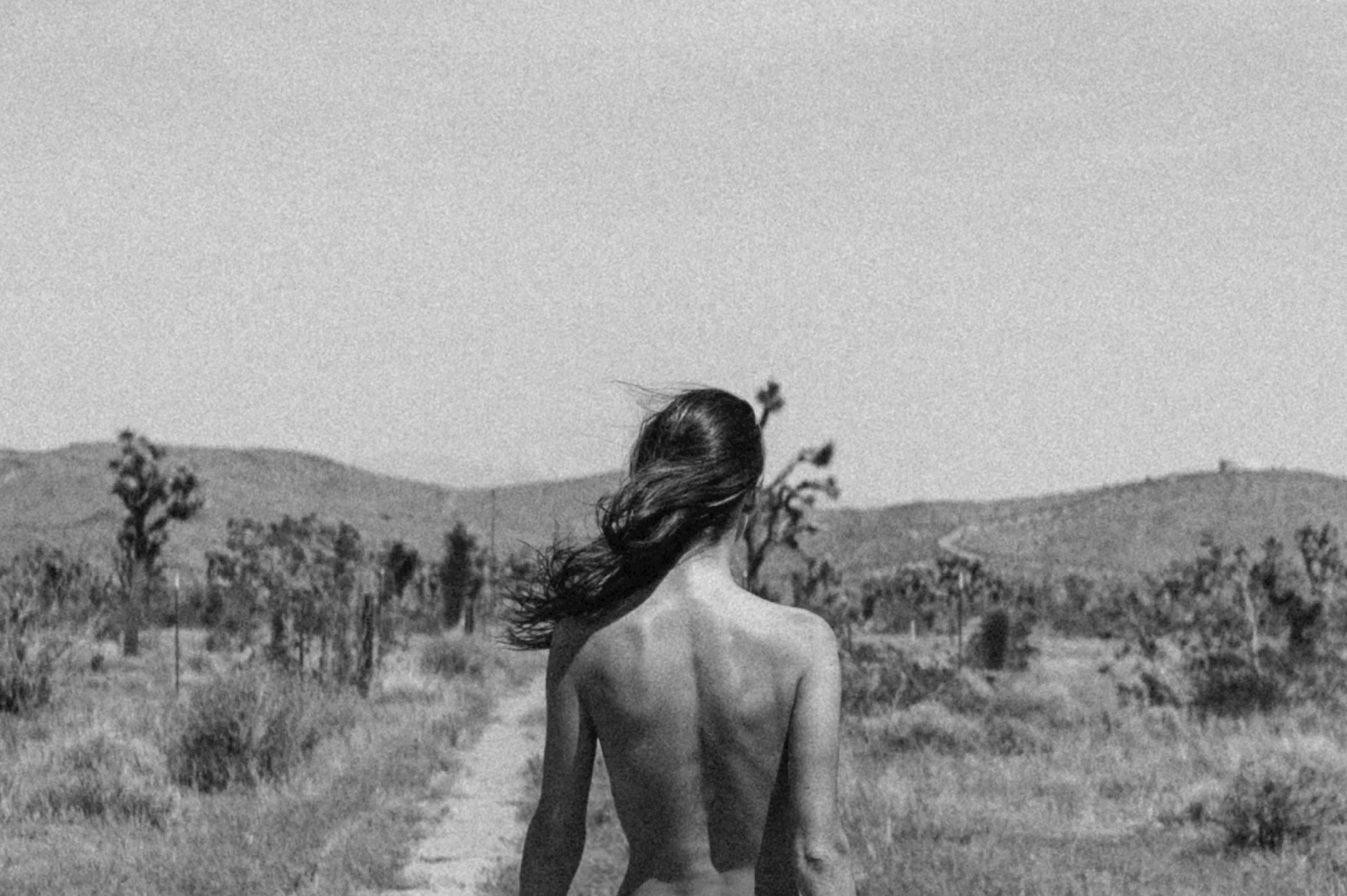 Desert Daydreams feat Lana