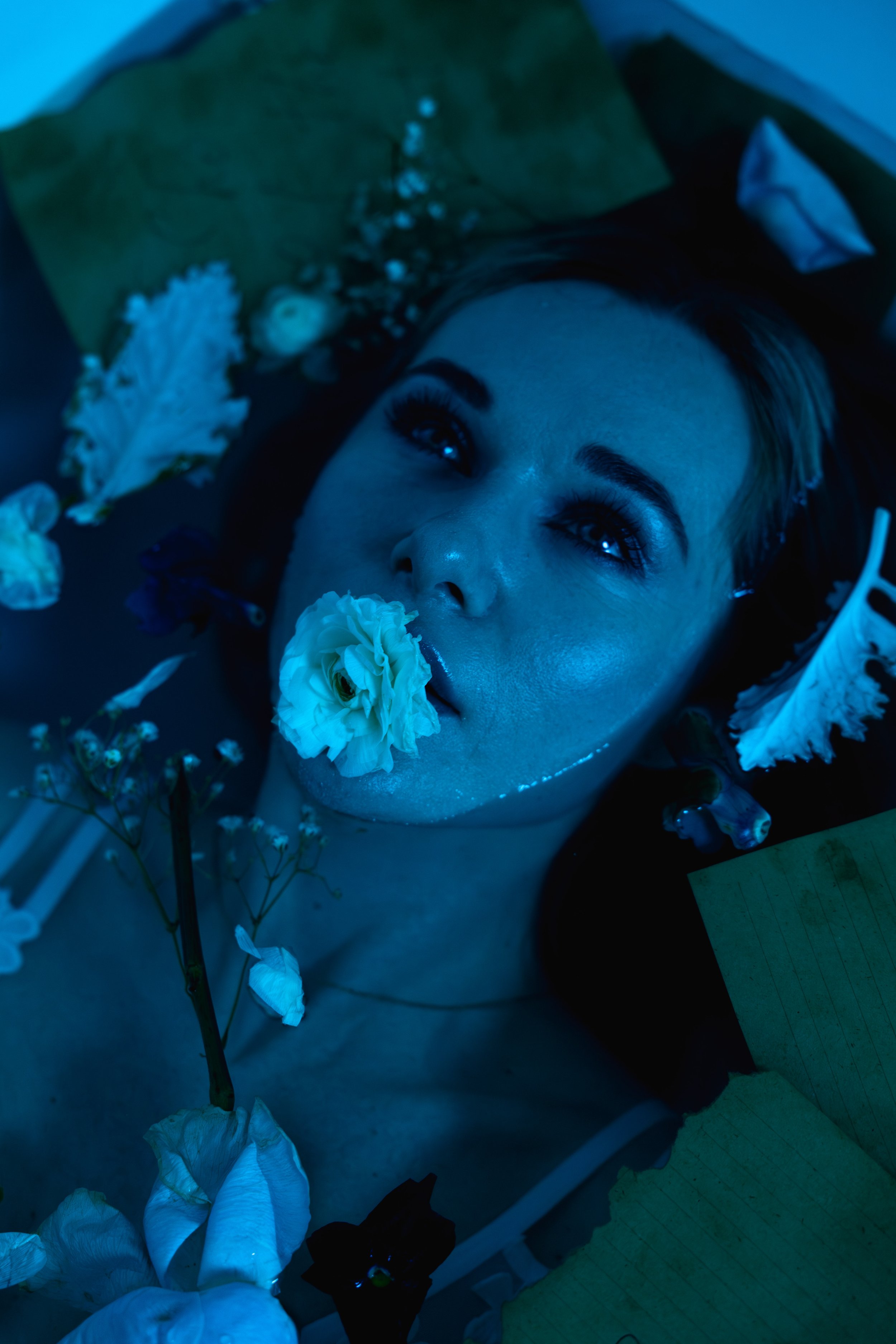 _B9A0602-Enhanced-NR 2.jpg