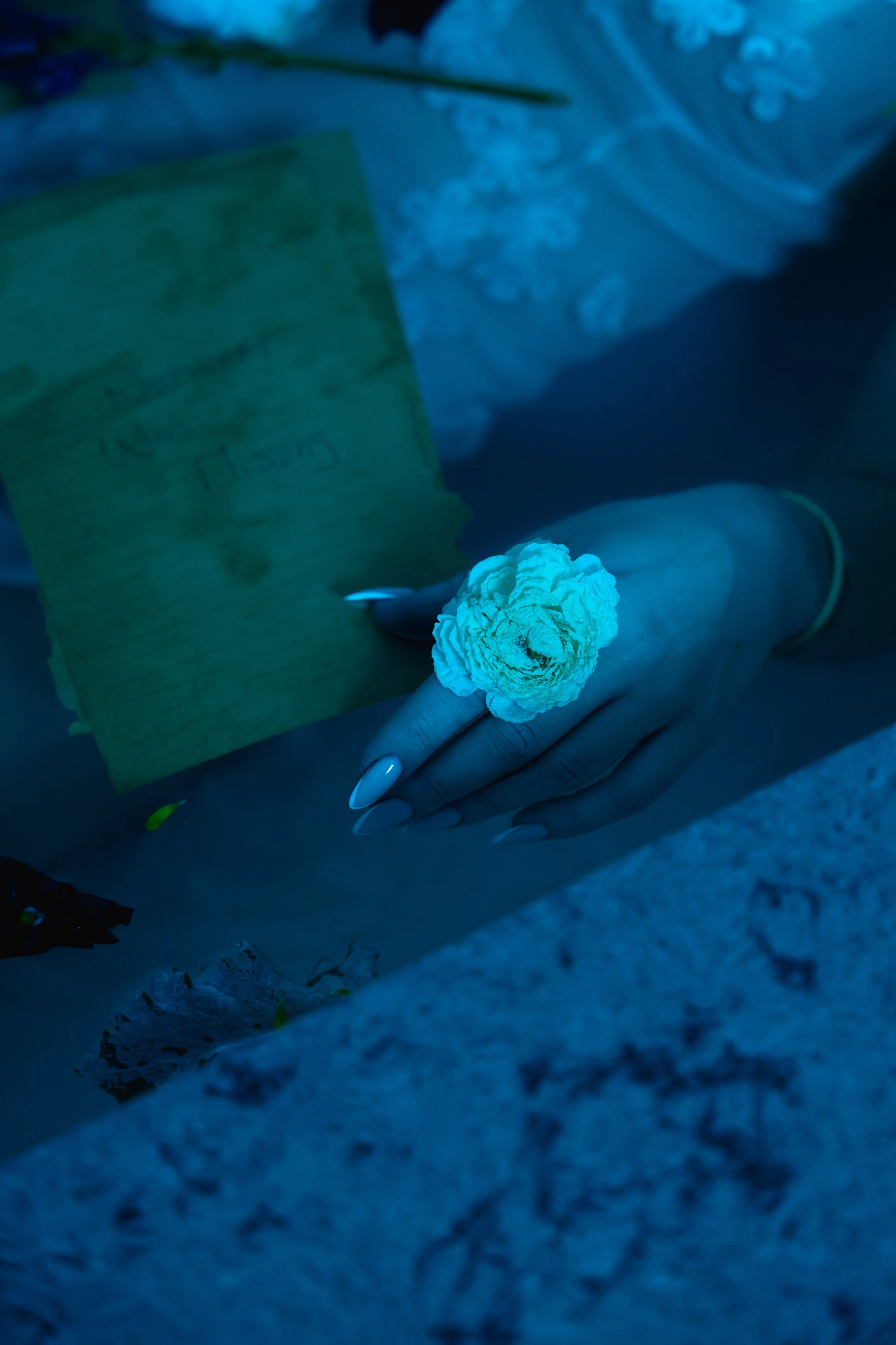 _B9A0590-Enhanced-NR 2.jpg