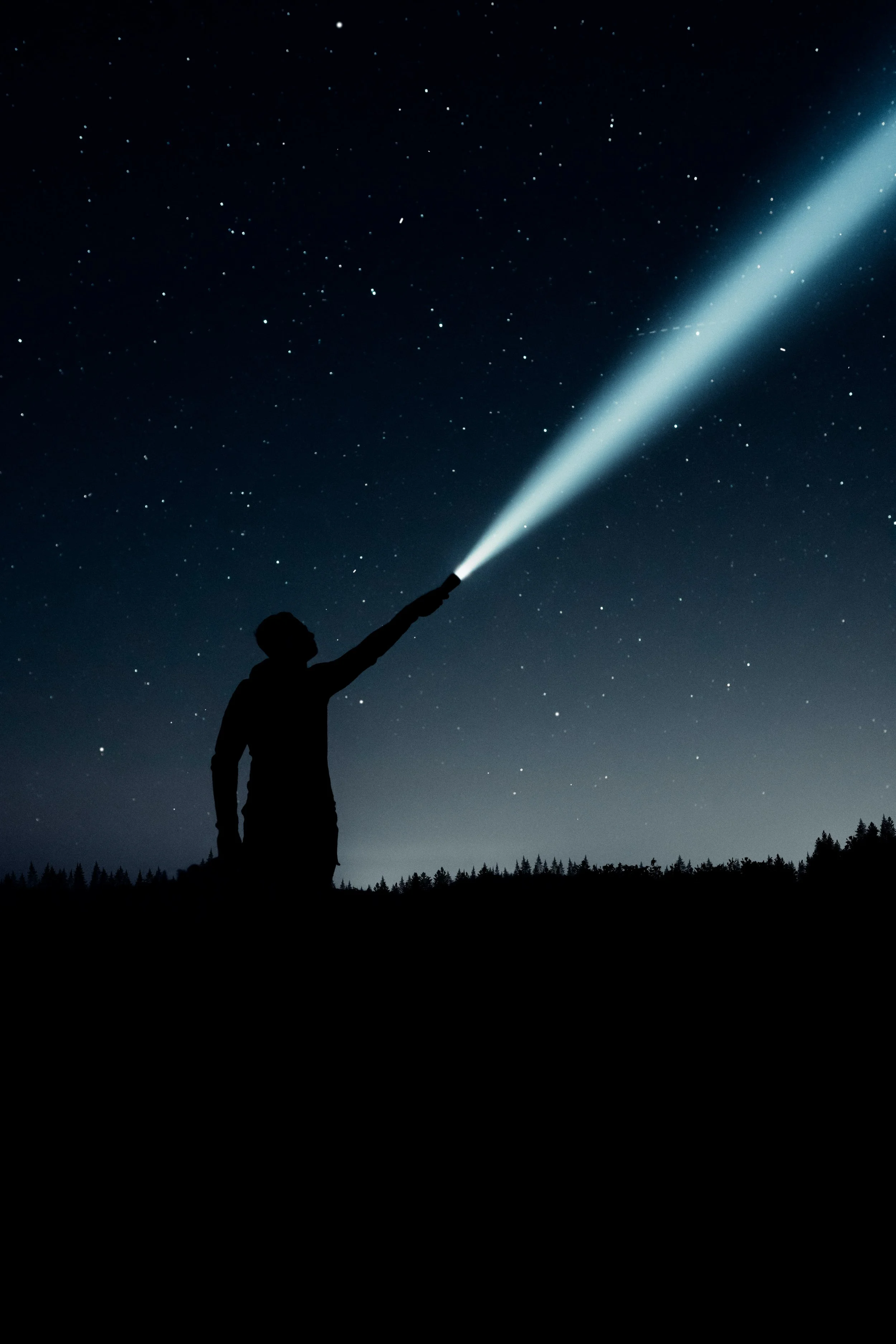 What Are We Searching For?