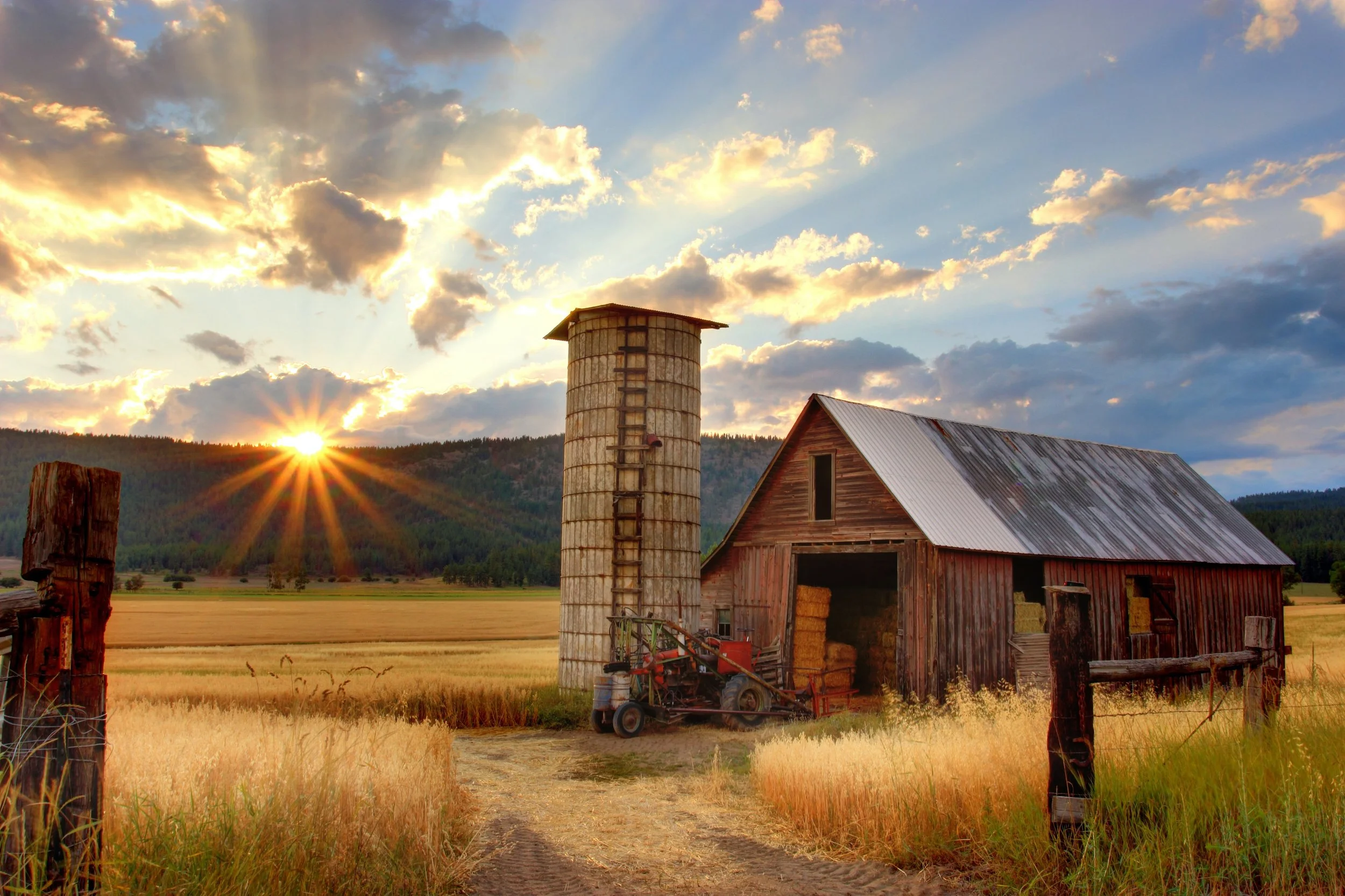 Closet Farm Girl