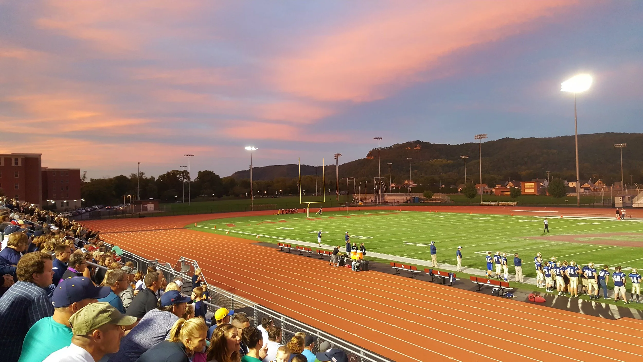 Sports, Sports, and More Sports