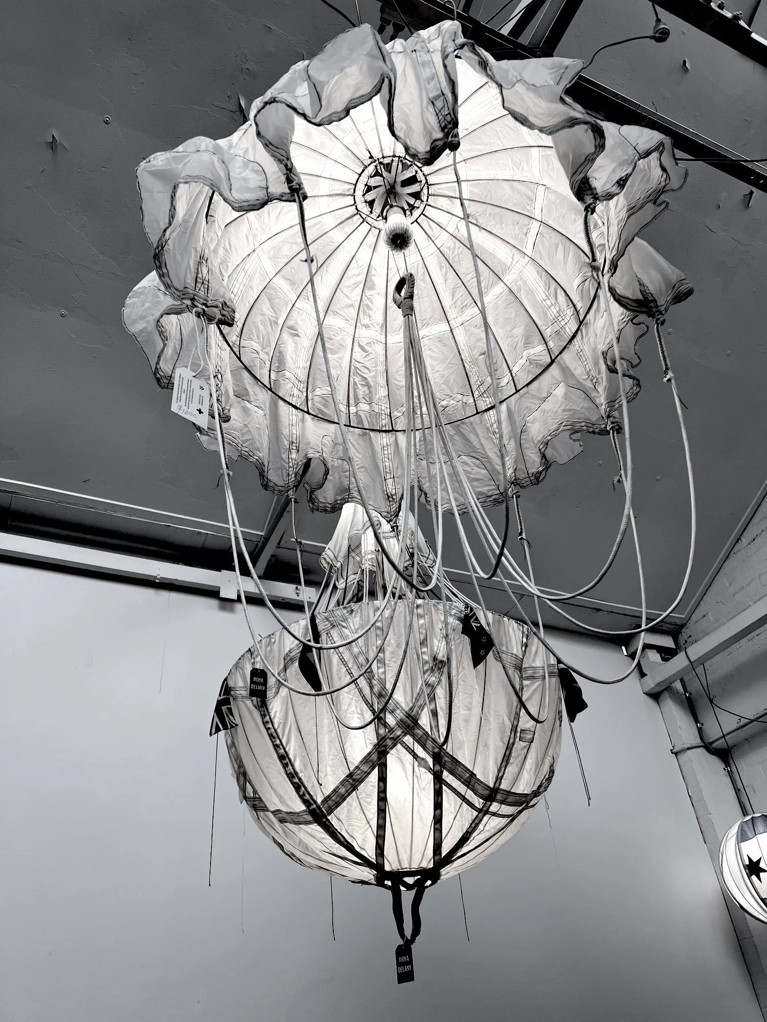 polaris and armistace copy.jpeg