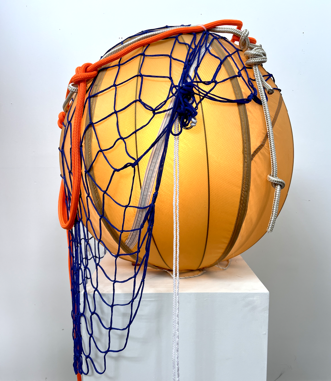 Screenshot 2024-09-16 at 11.53.06 am.png