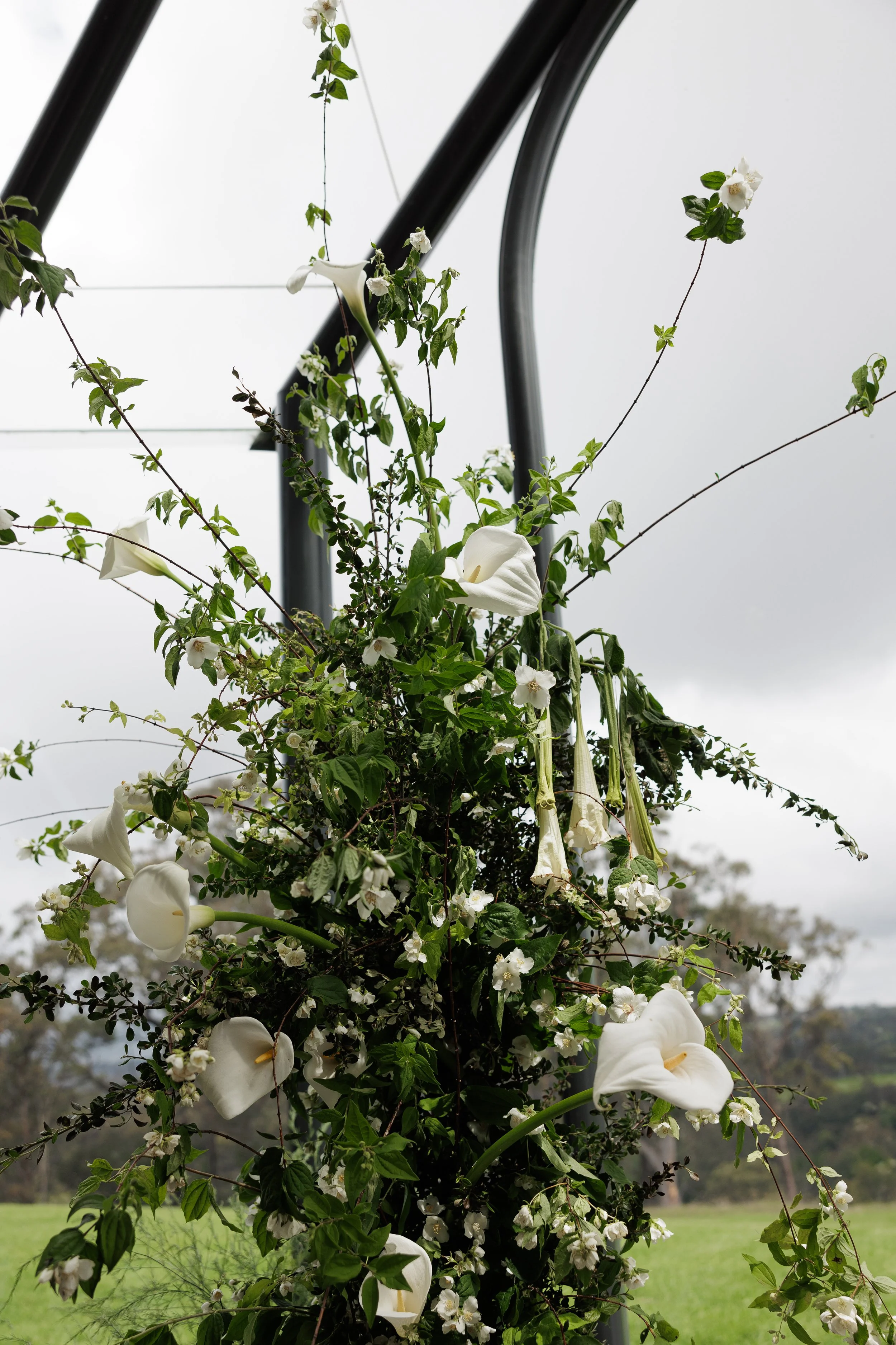 Copy of WD241102_T9073_P1_Valentina&Jacob-352.jpg