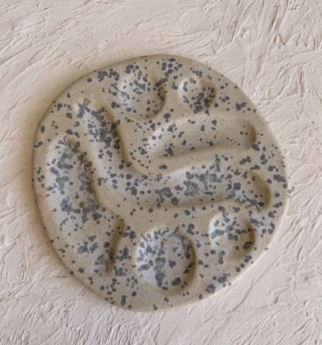 The Collection Dish No. 01 - Blue Speck.2