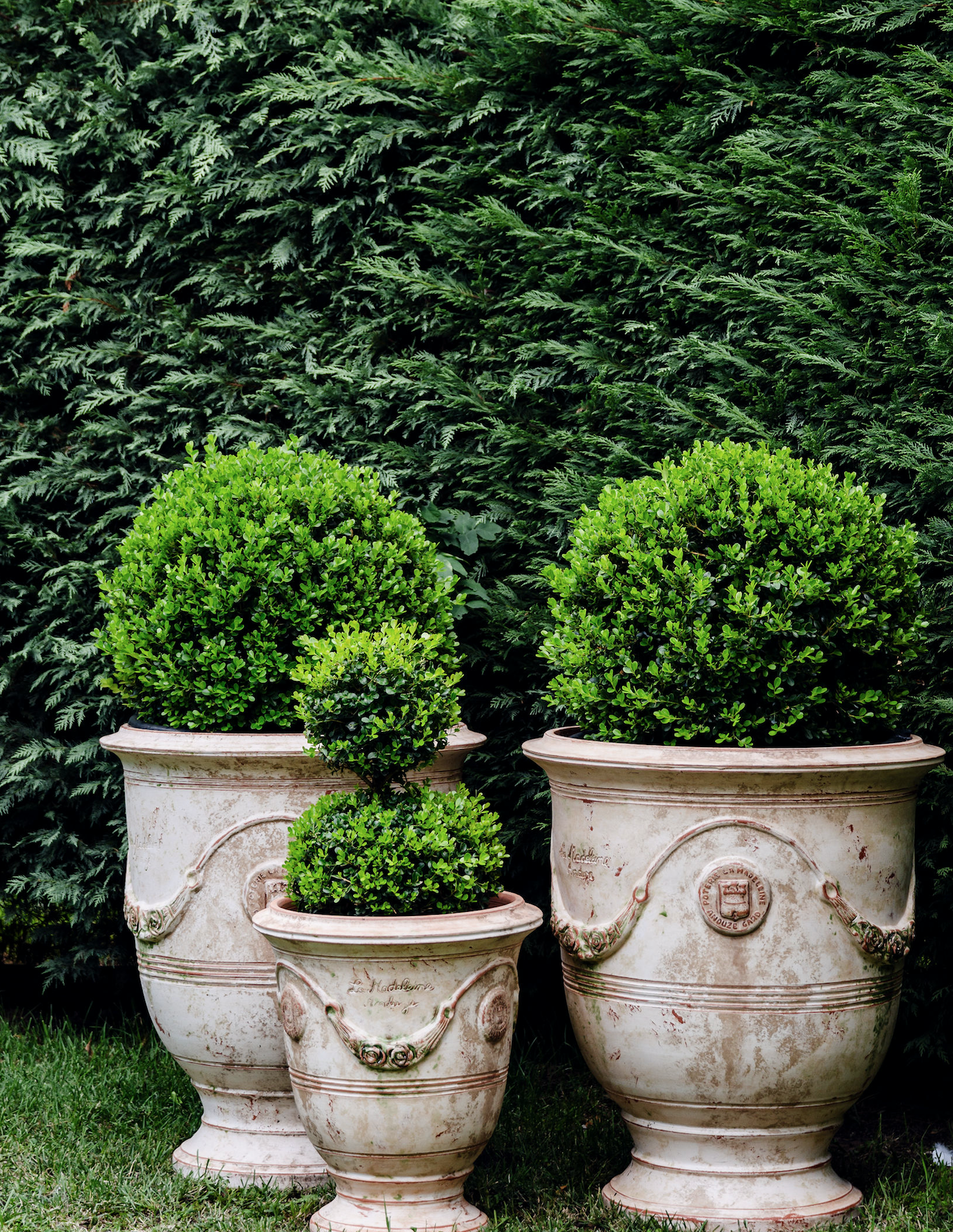 The Terra Chunk shoe. Orange vegan leather, chunky heel.