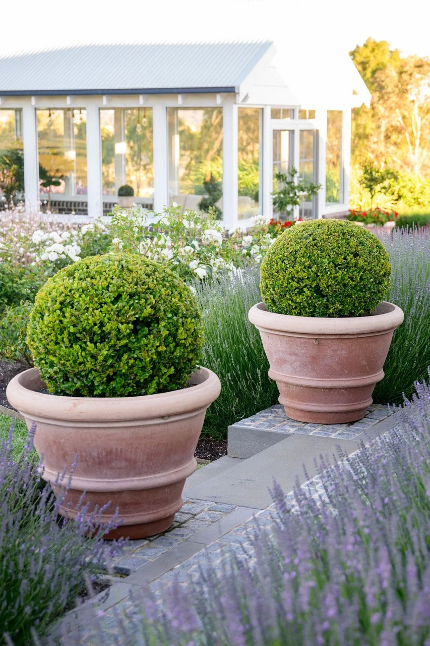 The Naranja heel. Orange vegan leather shoe with tortoise shell heel.