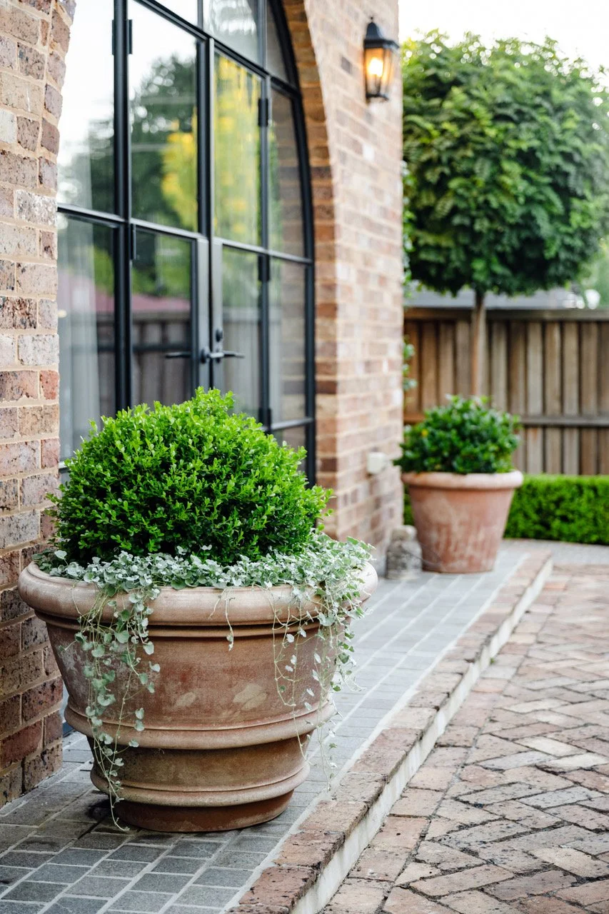 The Naranja heel. Orange vegan leather shoe with tortoise shell heel.
