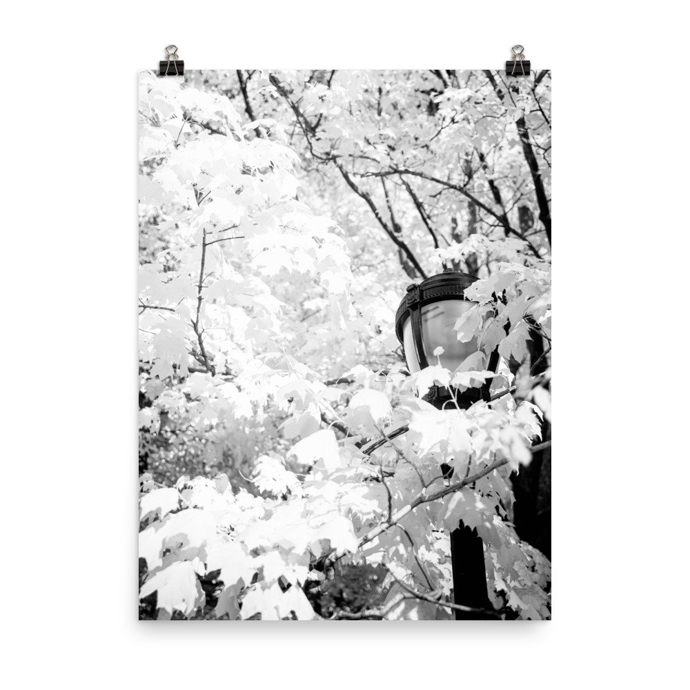 premium-luster-photo-paper-poster-(in)-18x24-transparent-675fd8c798bb0.jpg