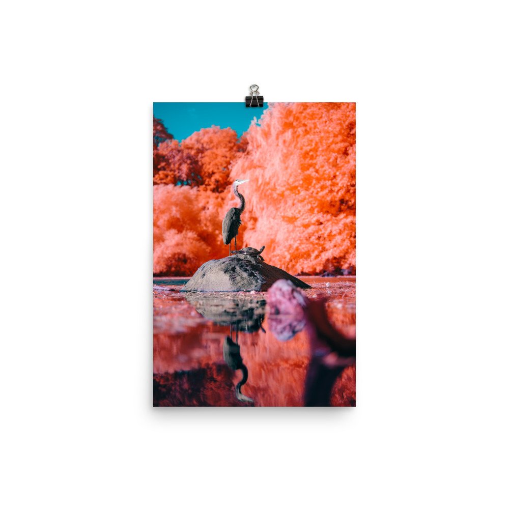 premium-luster-photo-paper-poster-(in)-12x18-transparent-676b3ff867d72.jpg