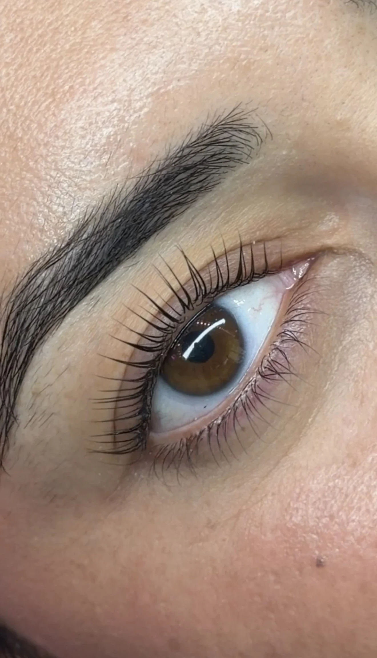 lash lift, korean lash lift, lash lamination, 559 korean lash lift, fresno lash lifts, lash artist, fresno lashes