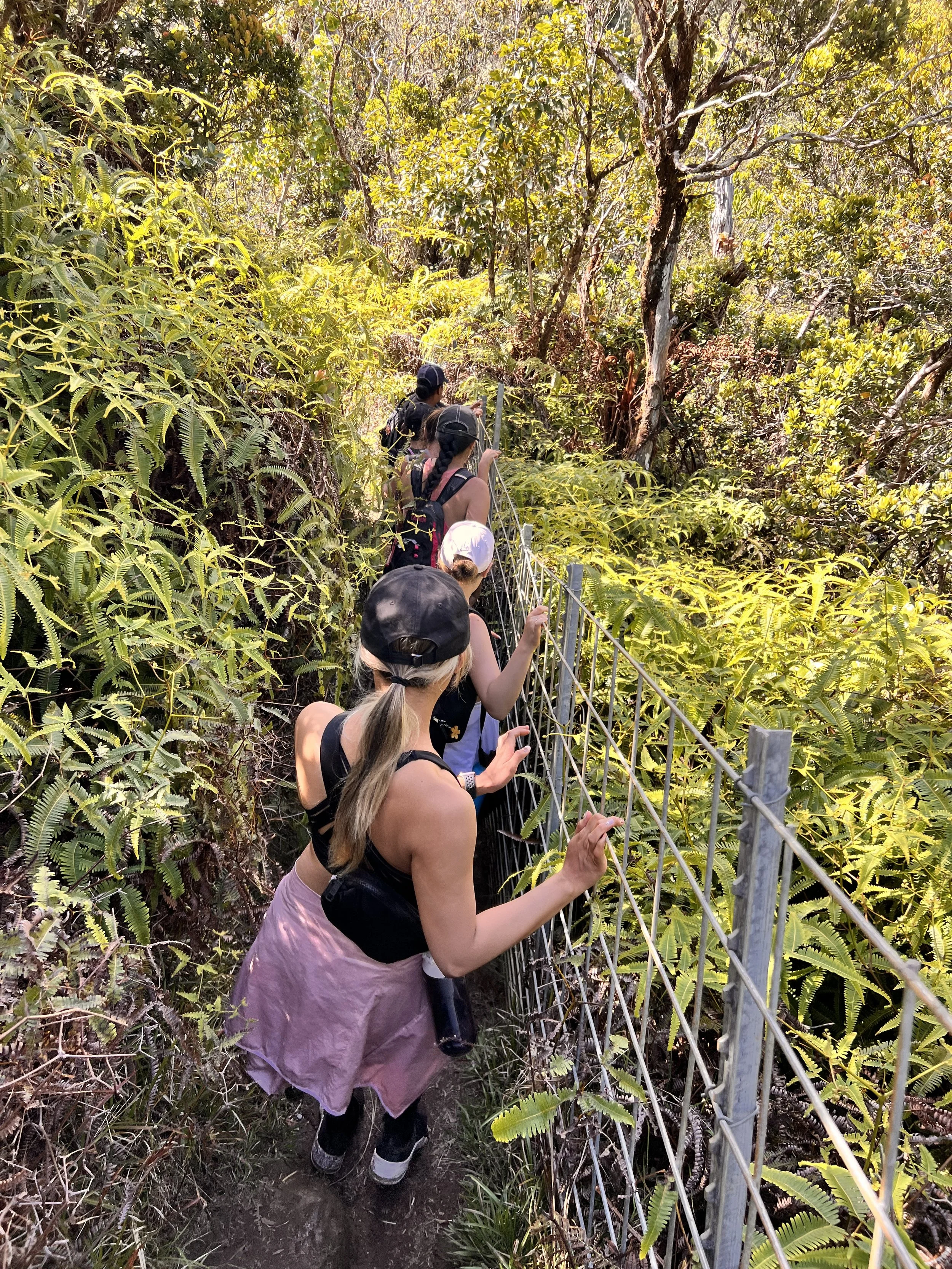 The Alakai Swamp Trail in Kauai, Hawaii