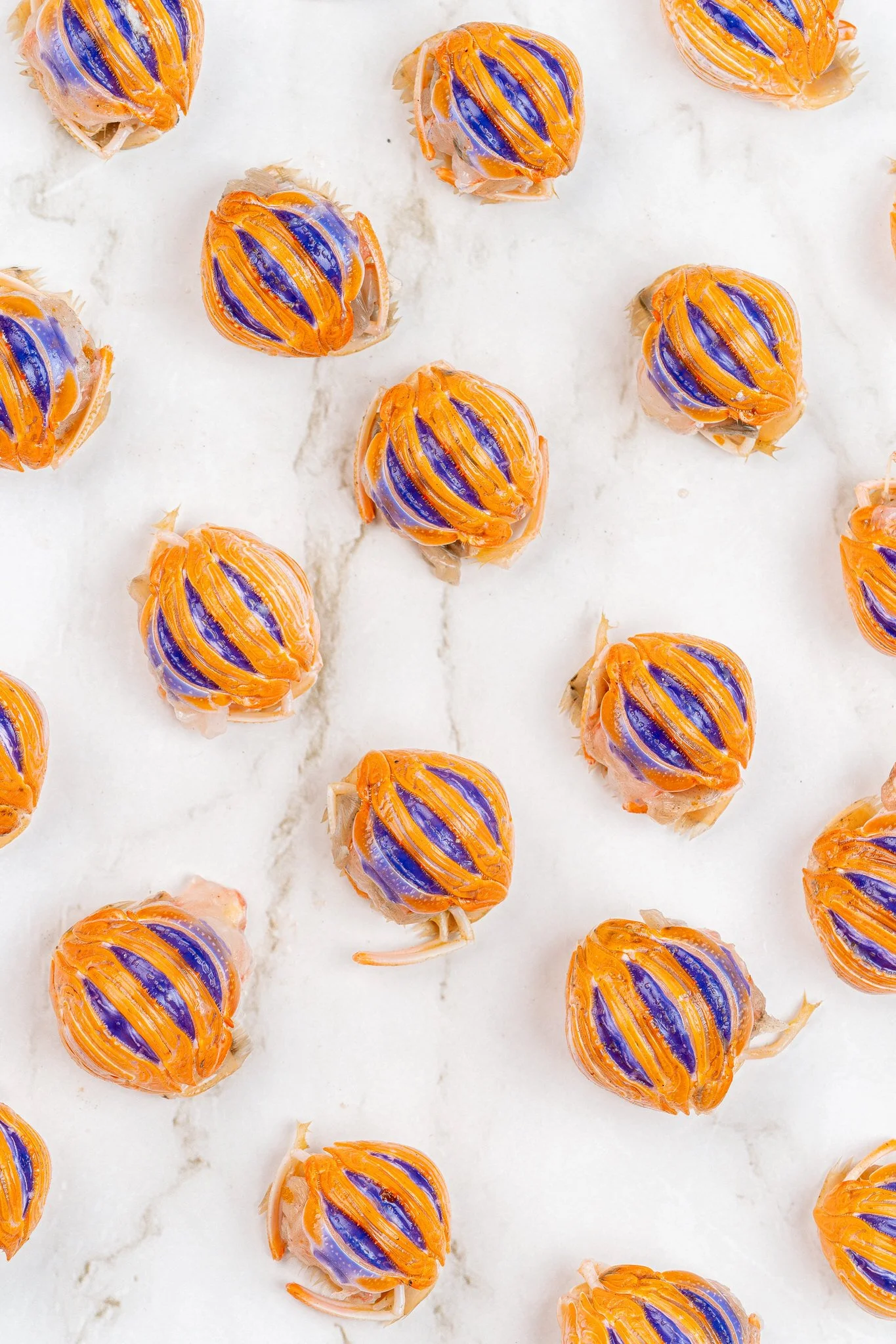 fotografia-producto-pescaderia-conagallas (15).jpg