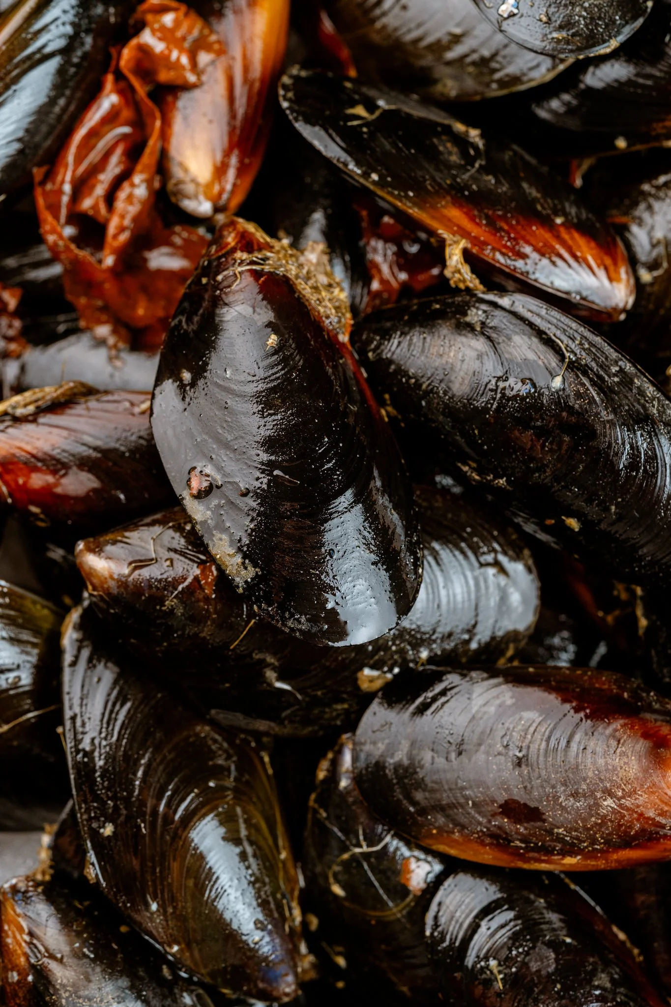 fotografia-producto-pescaderia-conagallas (22).jpg