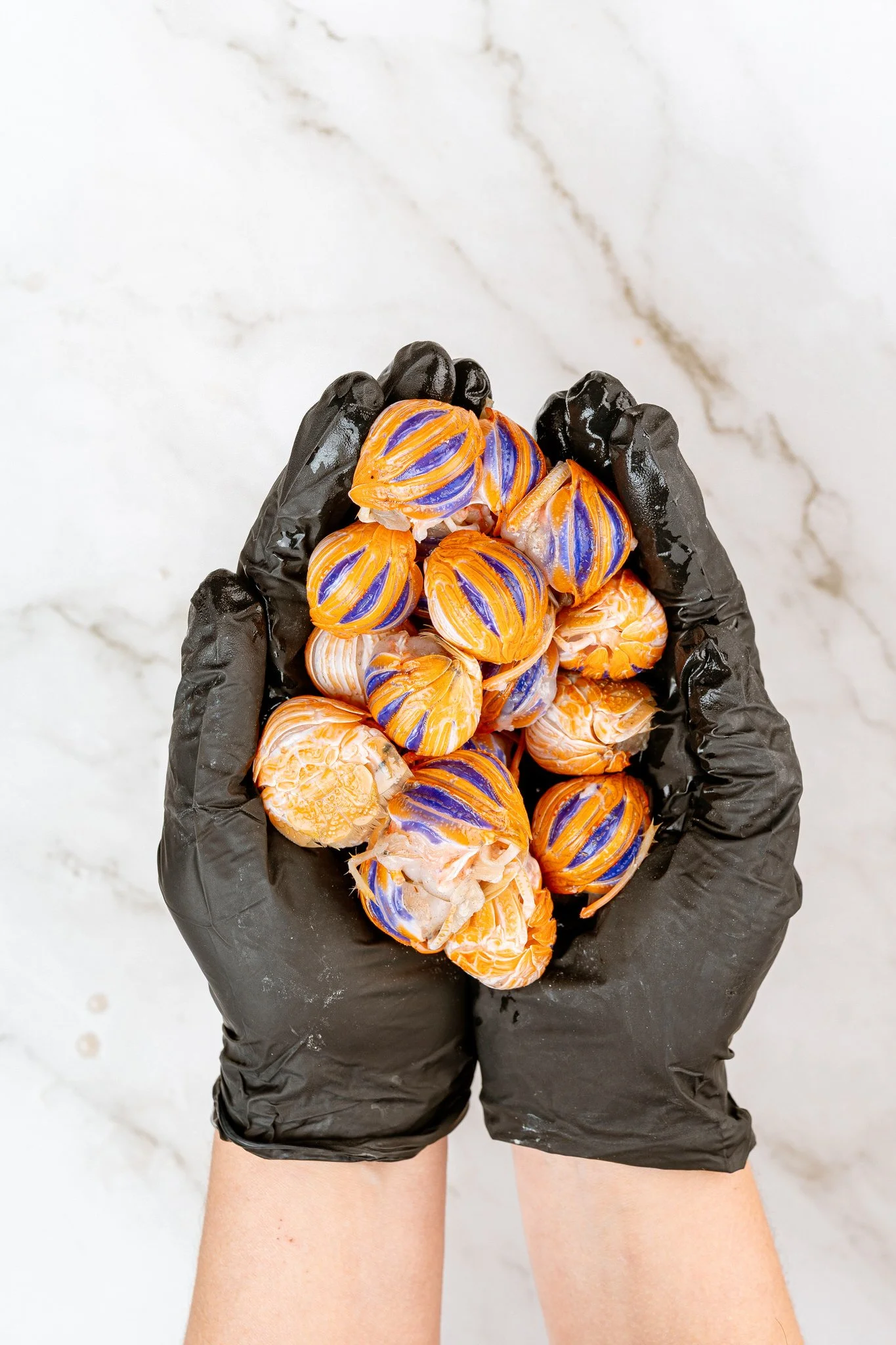 fotografia-producto-pescaderia-conagallas (16).jpg