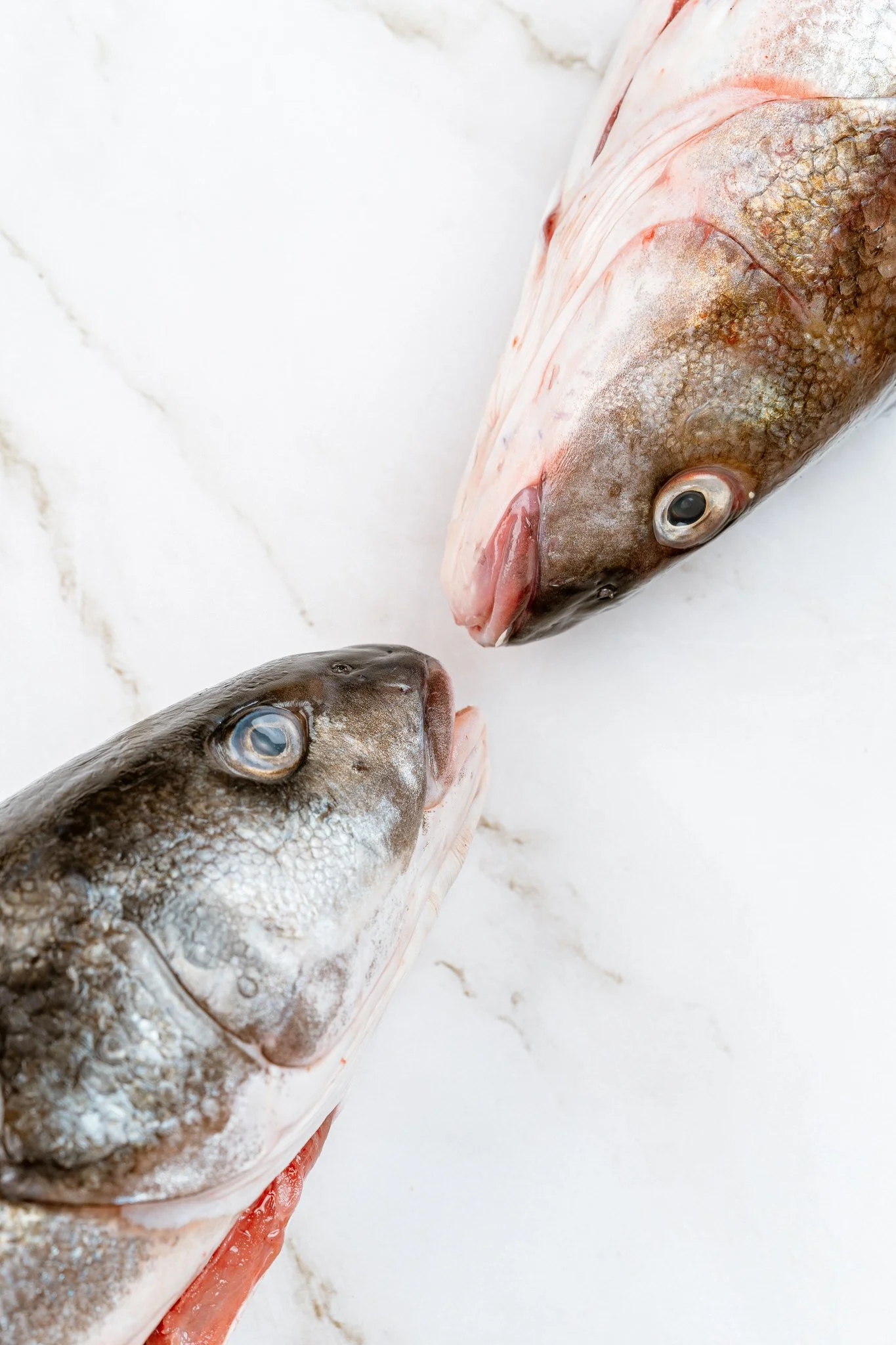 fotografia-producto-pescaderia-conagallas (57).jpg