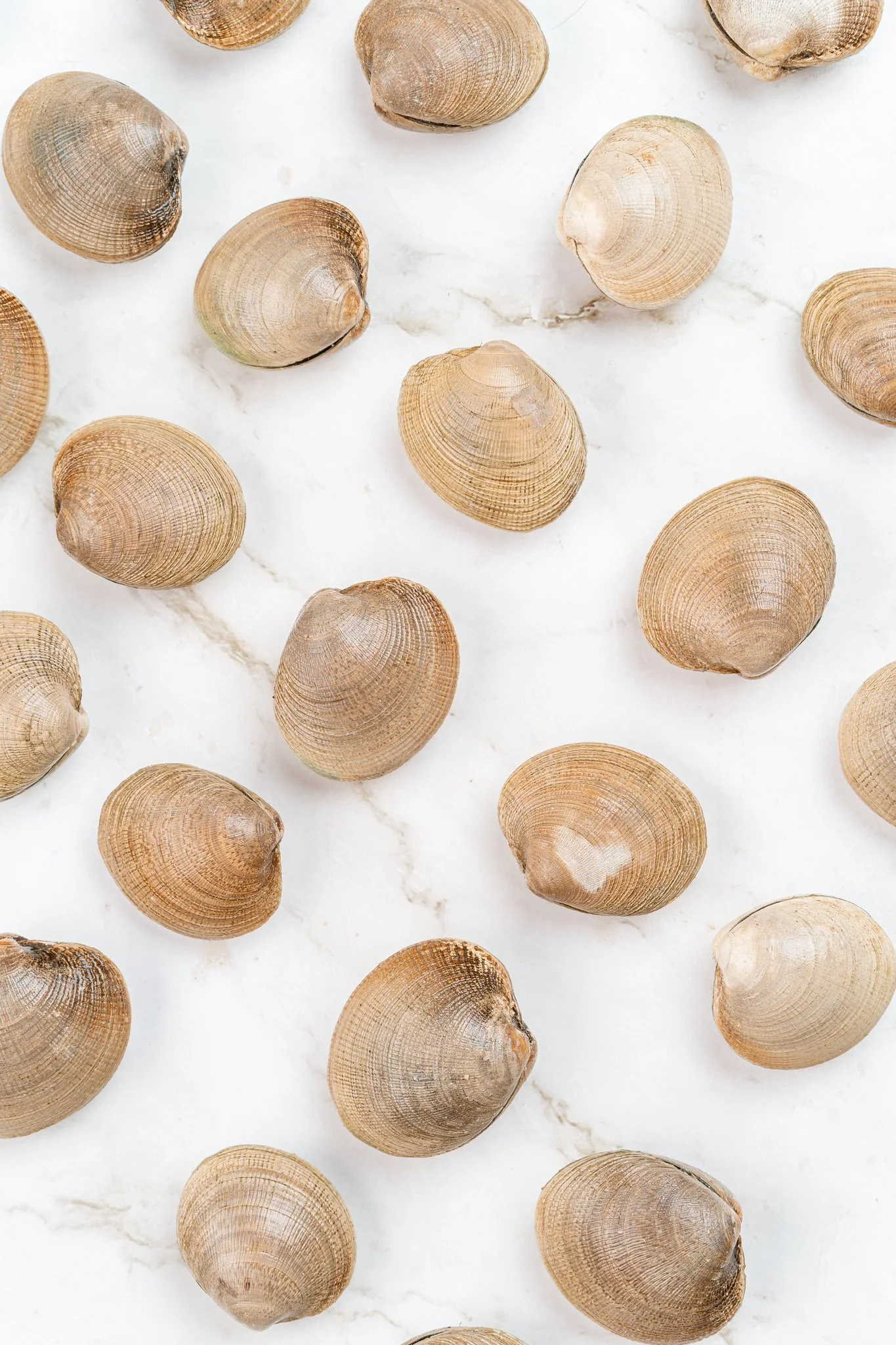 fotografia-producto-pescaderia-conagallas (12).jpg