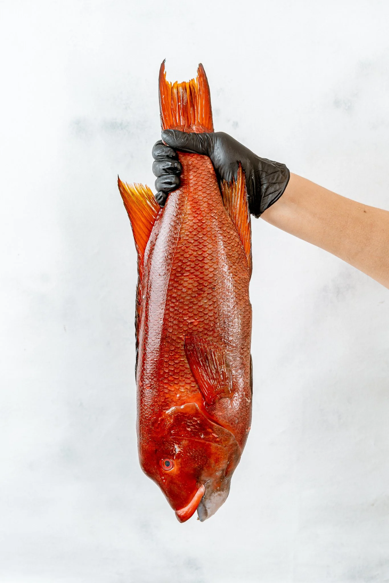 fotografia-producto-pescaderia-conagallas (24).jpg