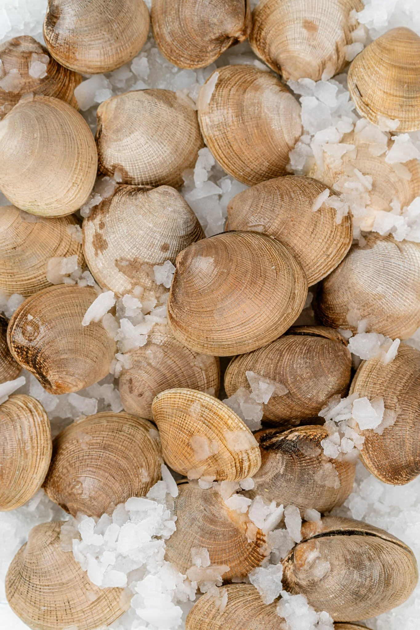 fotografia-producto-pescaderia-conagallas (9).jpg