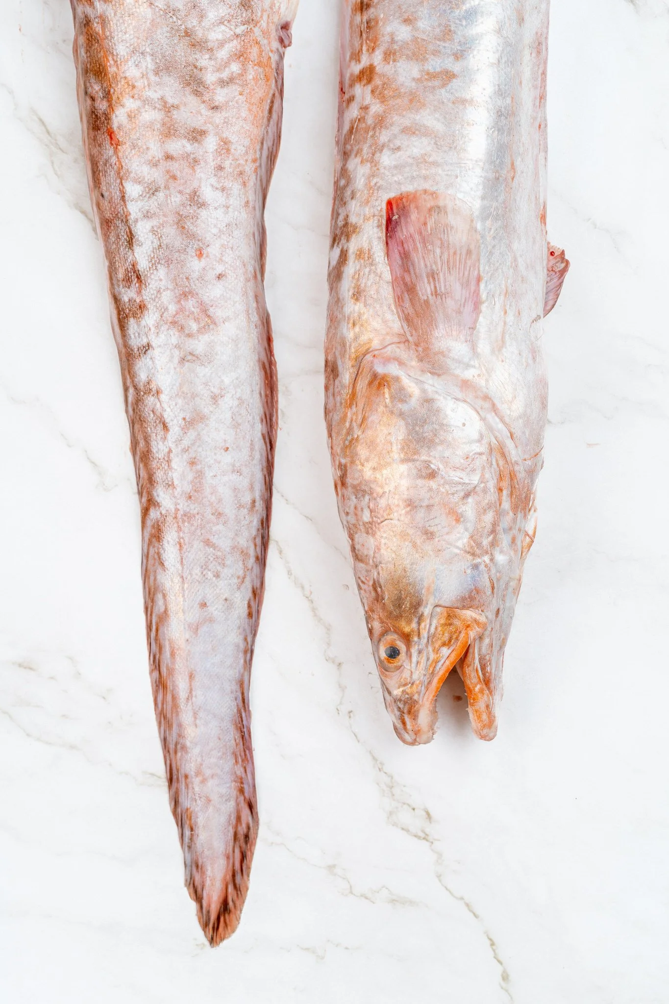 fotografia-producto-pescaderia-conagallas (2).jpg