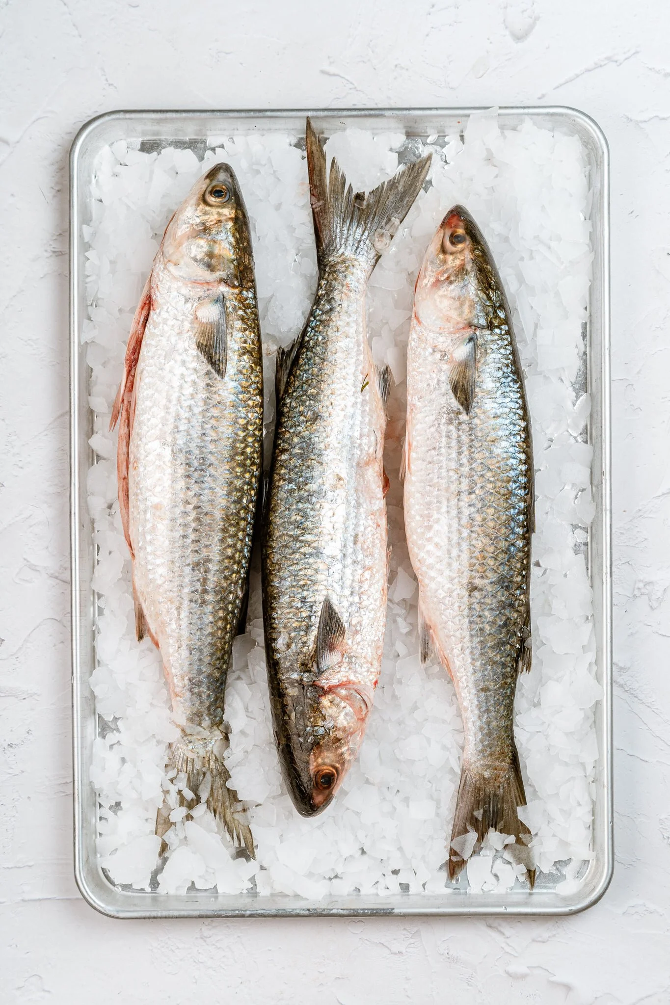 fotografia-producto-pescaderia-conagallas (46).jpg