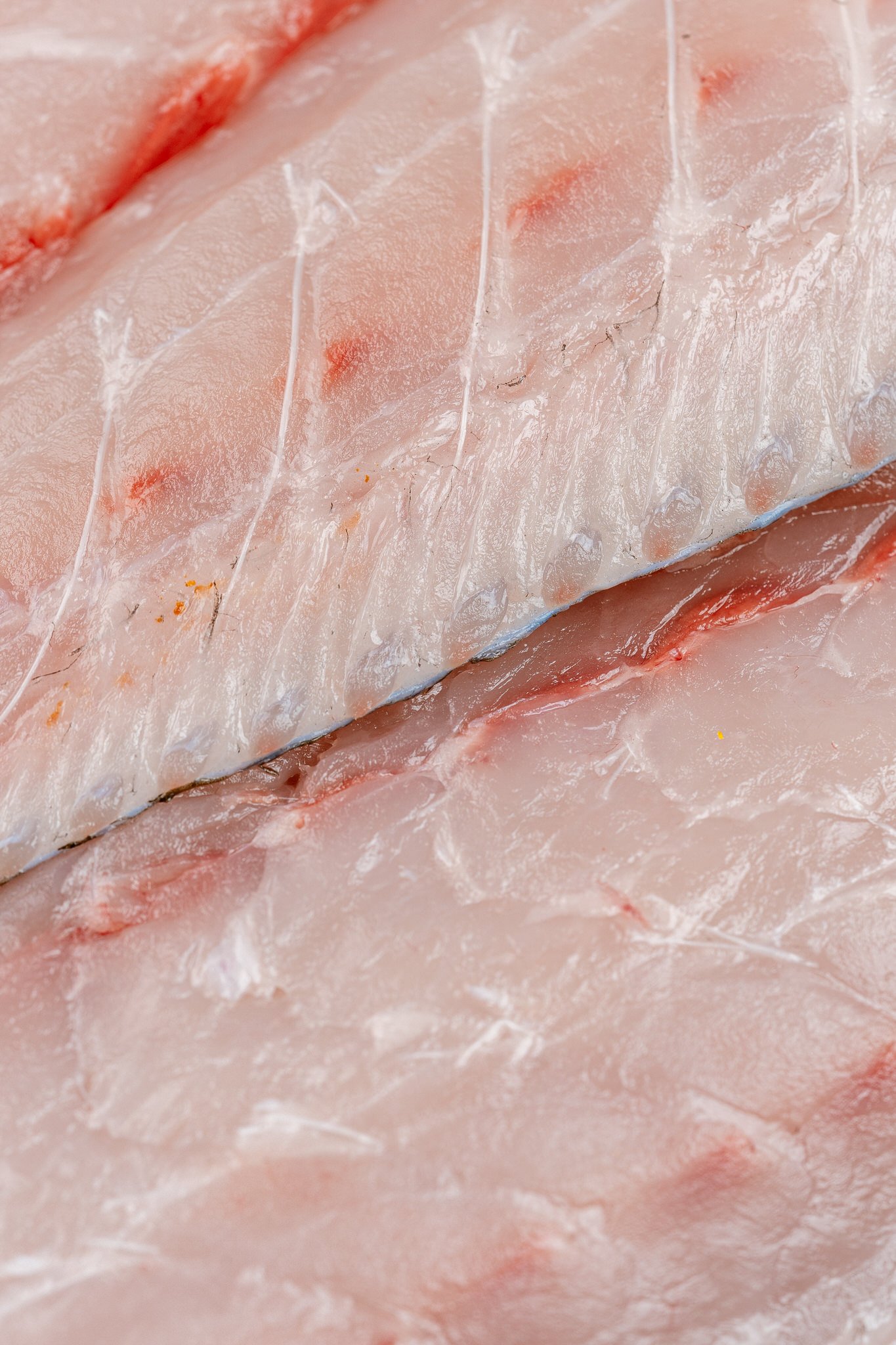 fotografia-producto-pescaderia-conagallas (43).jpg