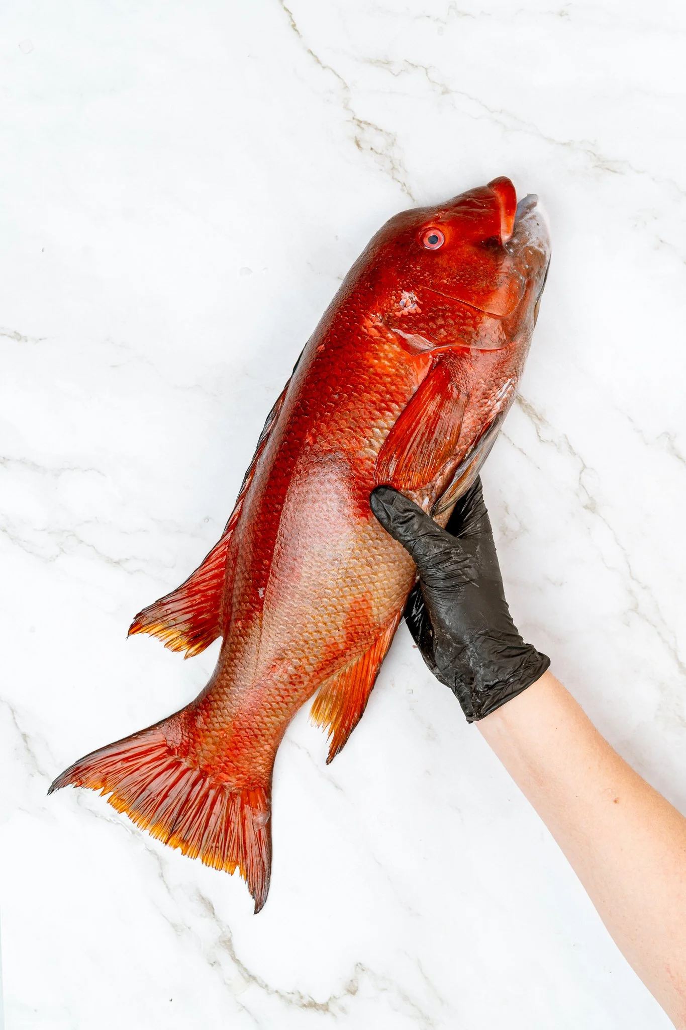 fotografia-producto-pescaderia-conagallas (65).jpg