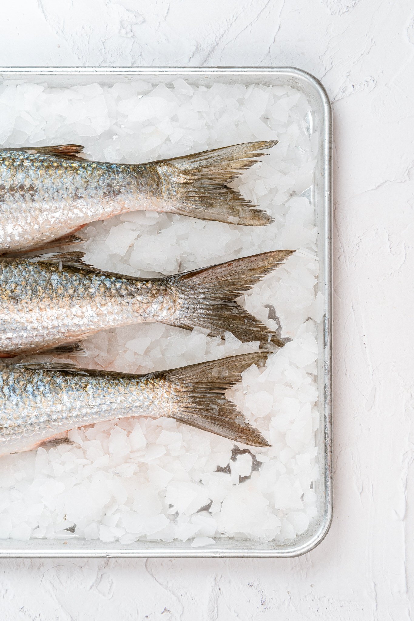 fotografia-producto-pescaderia-conagallas (48).jpg