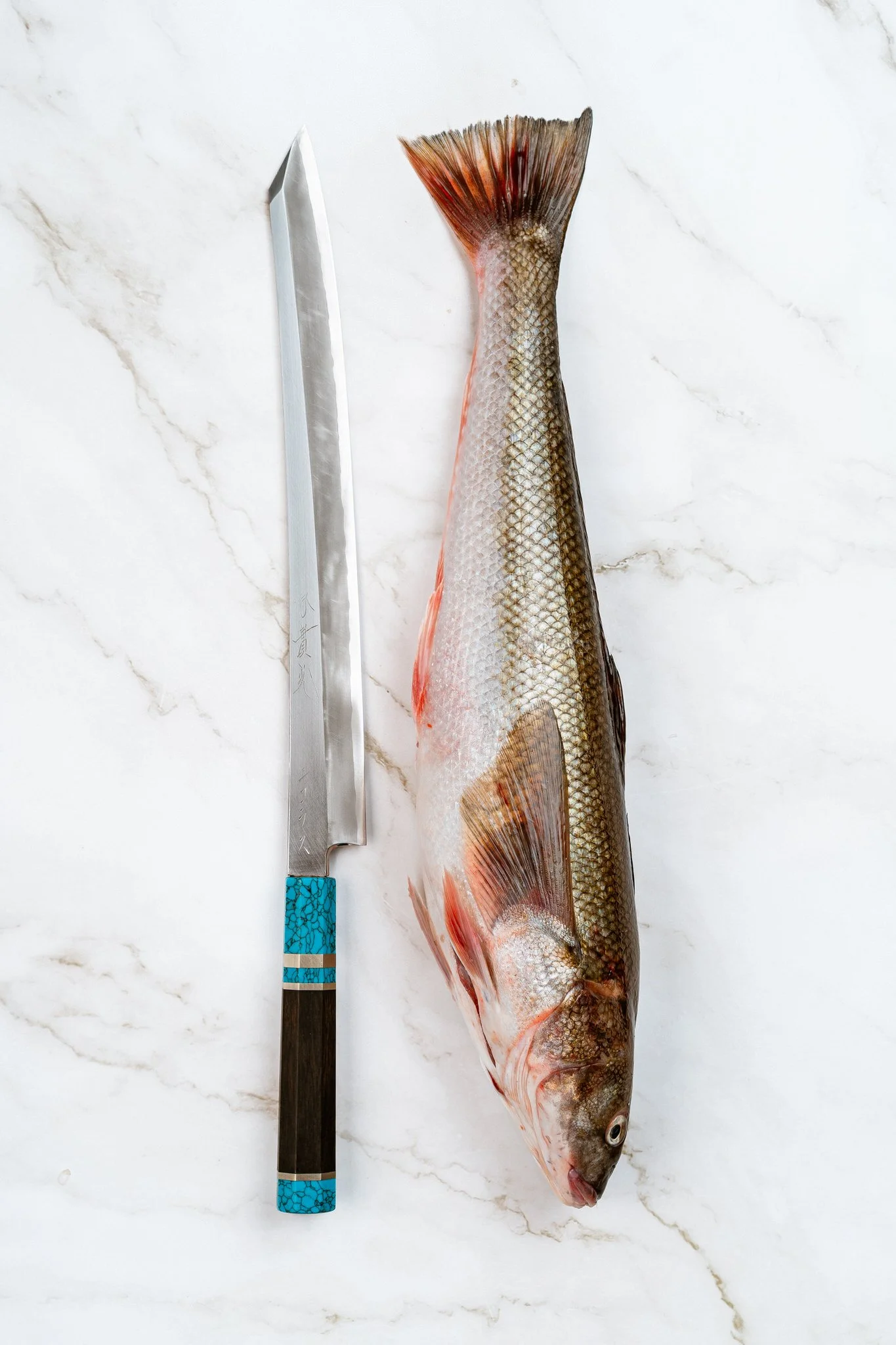 fotografia-producto-pescaderia-conagallas (53).jpg