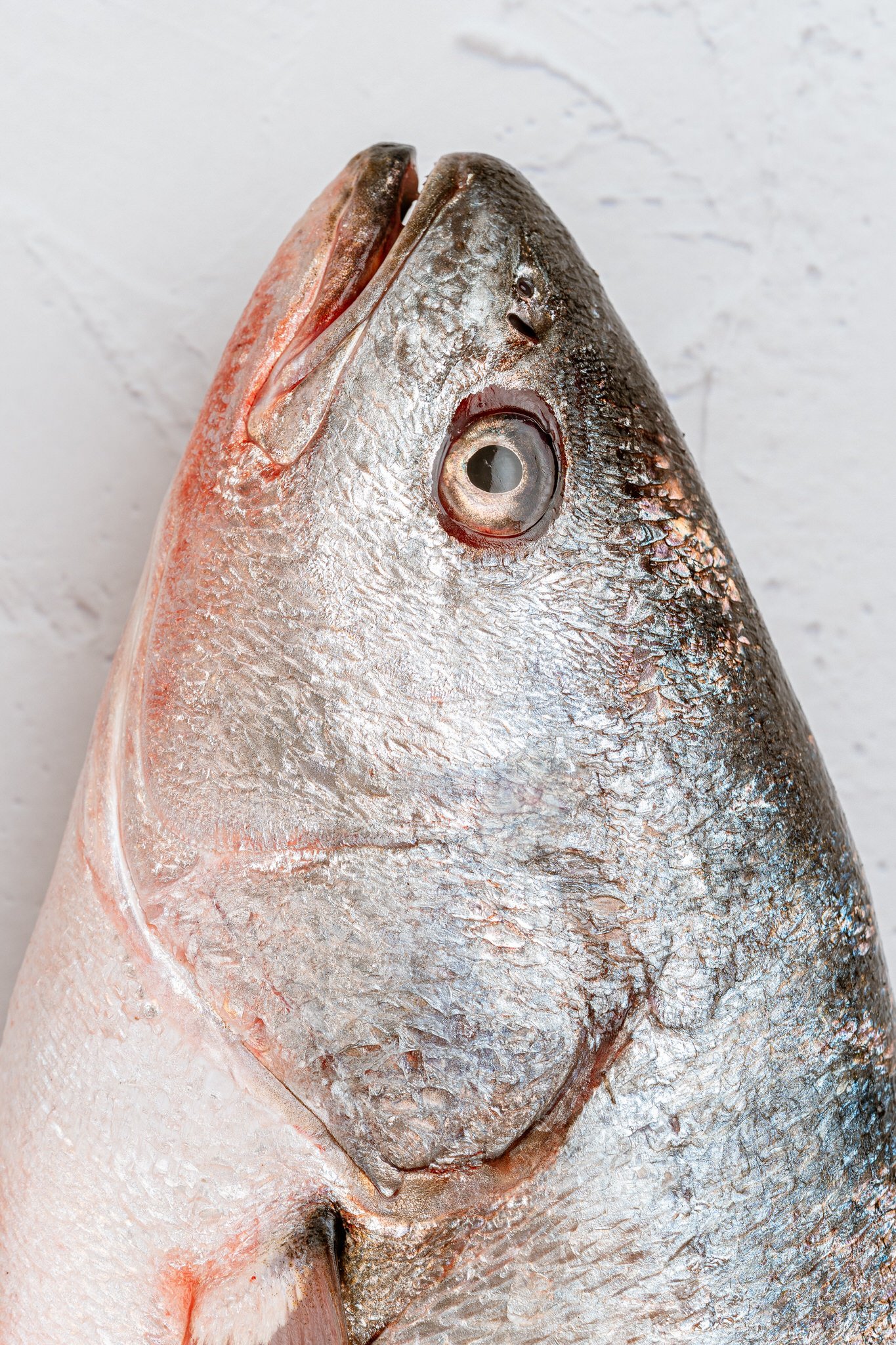 fotografia-producto-pescaderia-conagallas (30).jpg