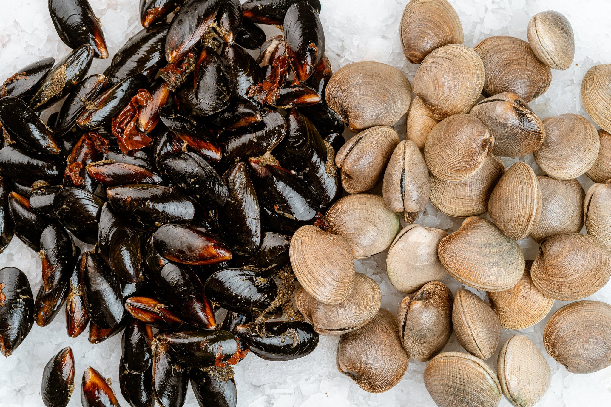 fotografia-producto-pescaderia-conagallas (21).jpg