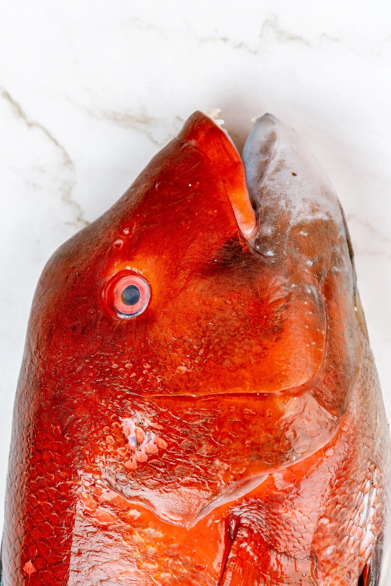 fotografia-producto-pescaderia-conagallas (60).jpg