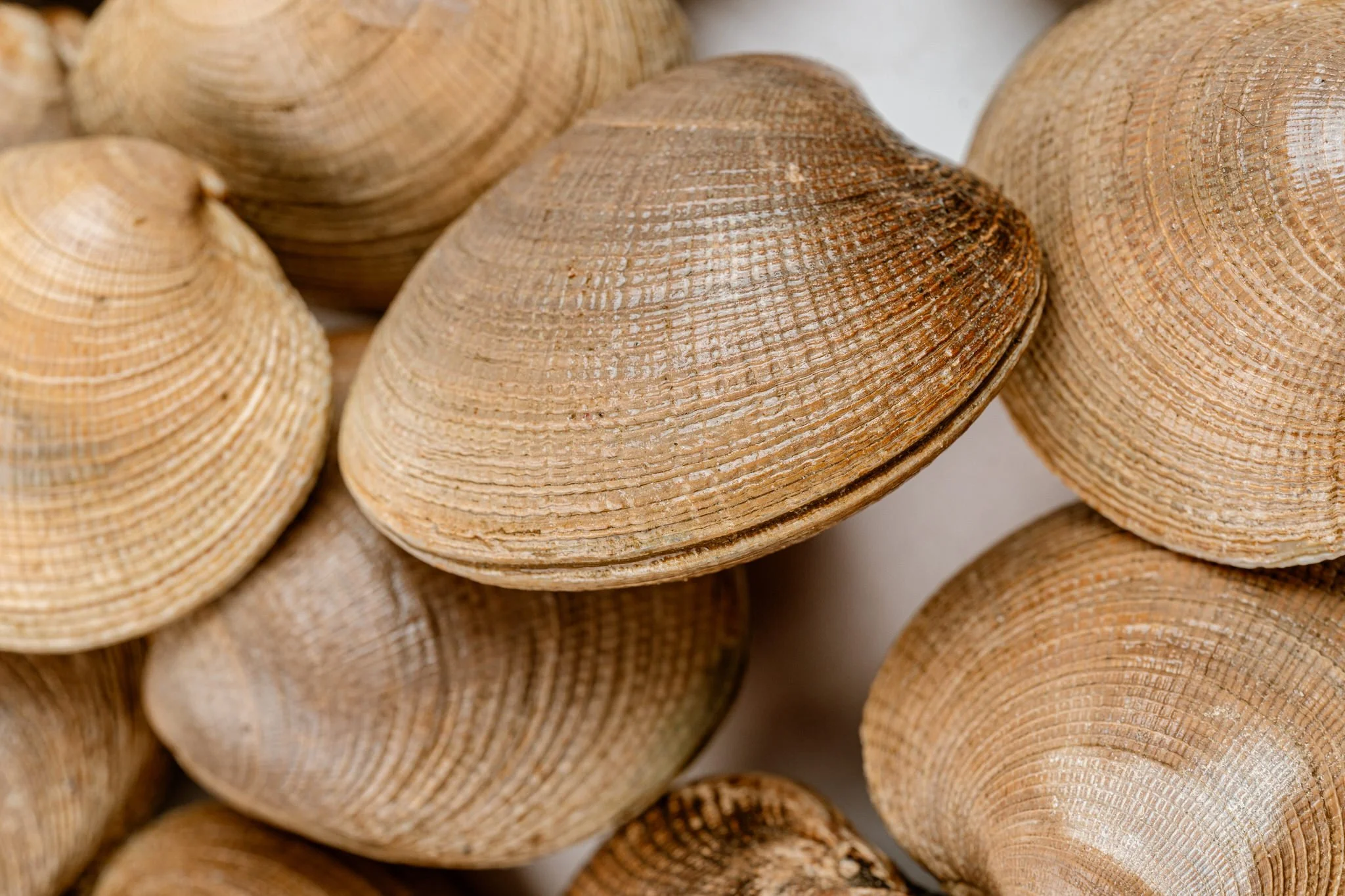 fotografia-producto-pescaderia-conagallas (13).jpg