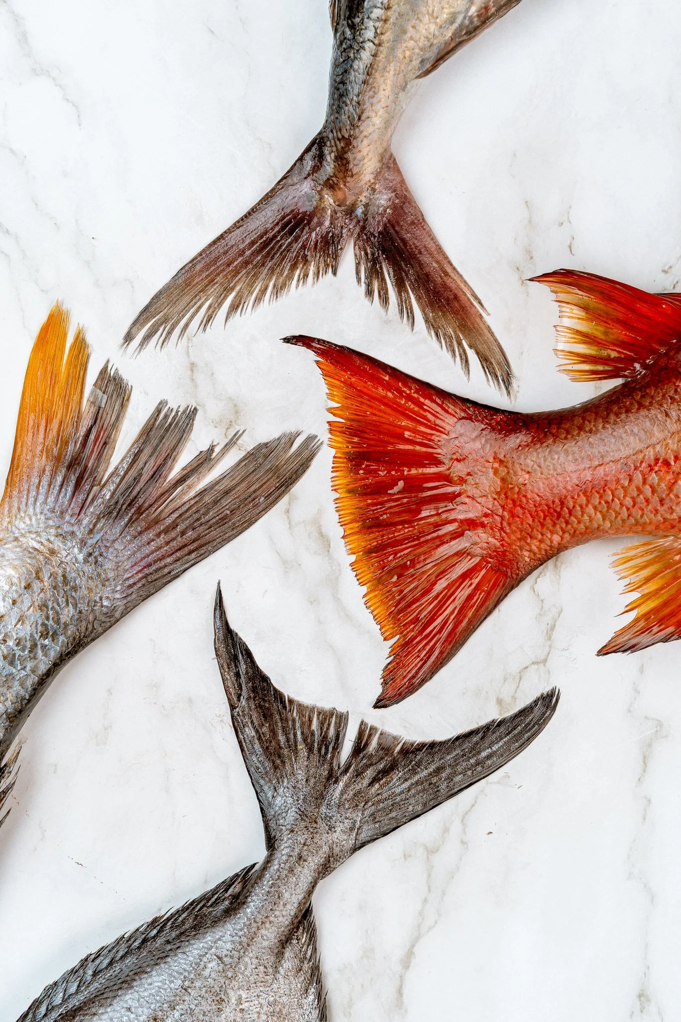 fotografia-producto-pescaderia-conagallas (61).jpg