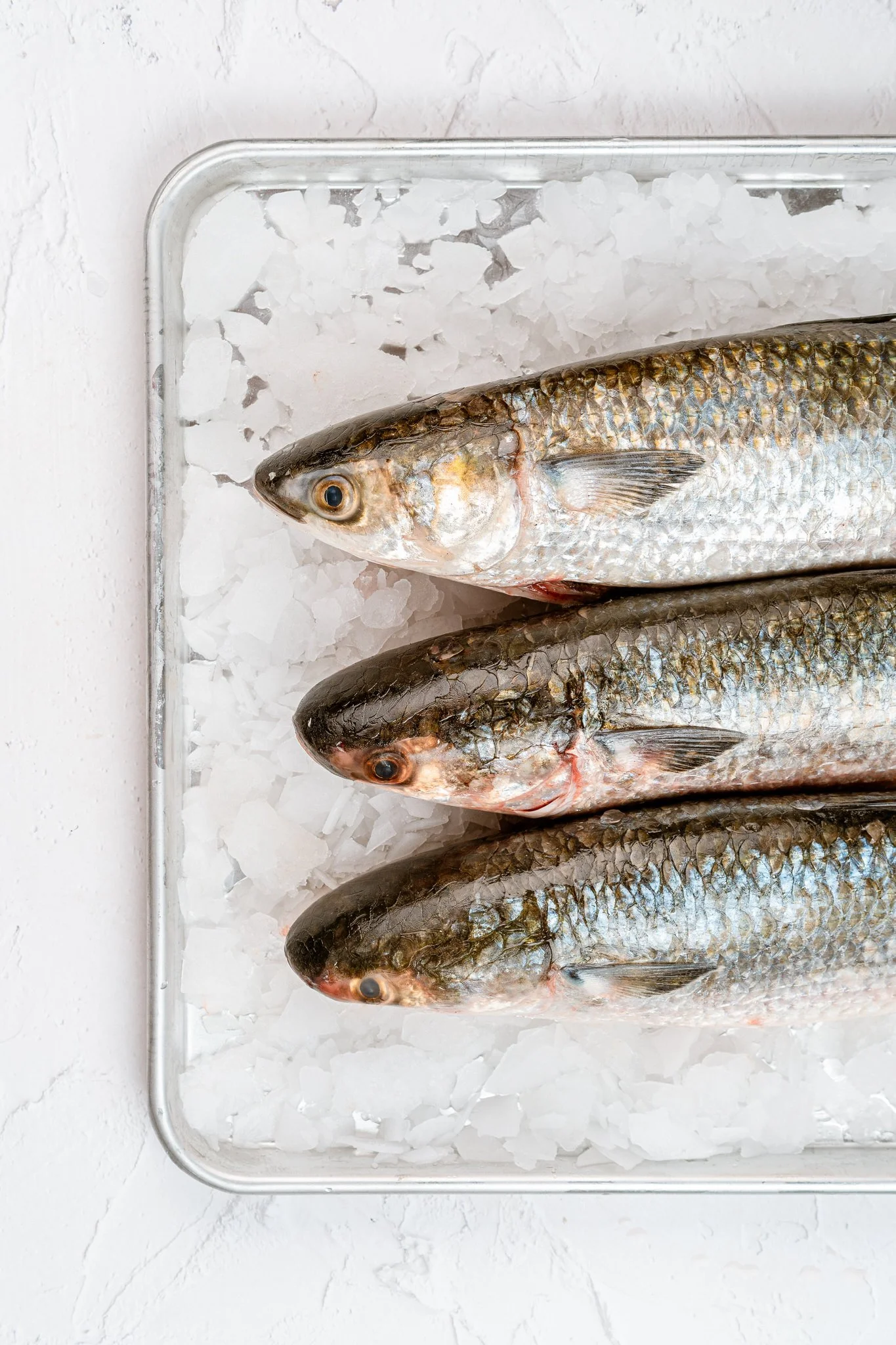 fotografia-producto-pescaderia-conagallas (47).jpg