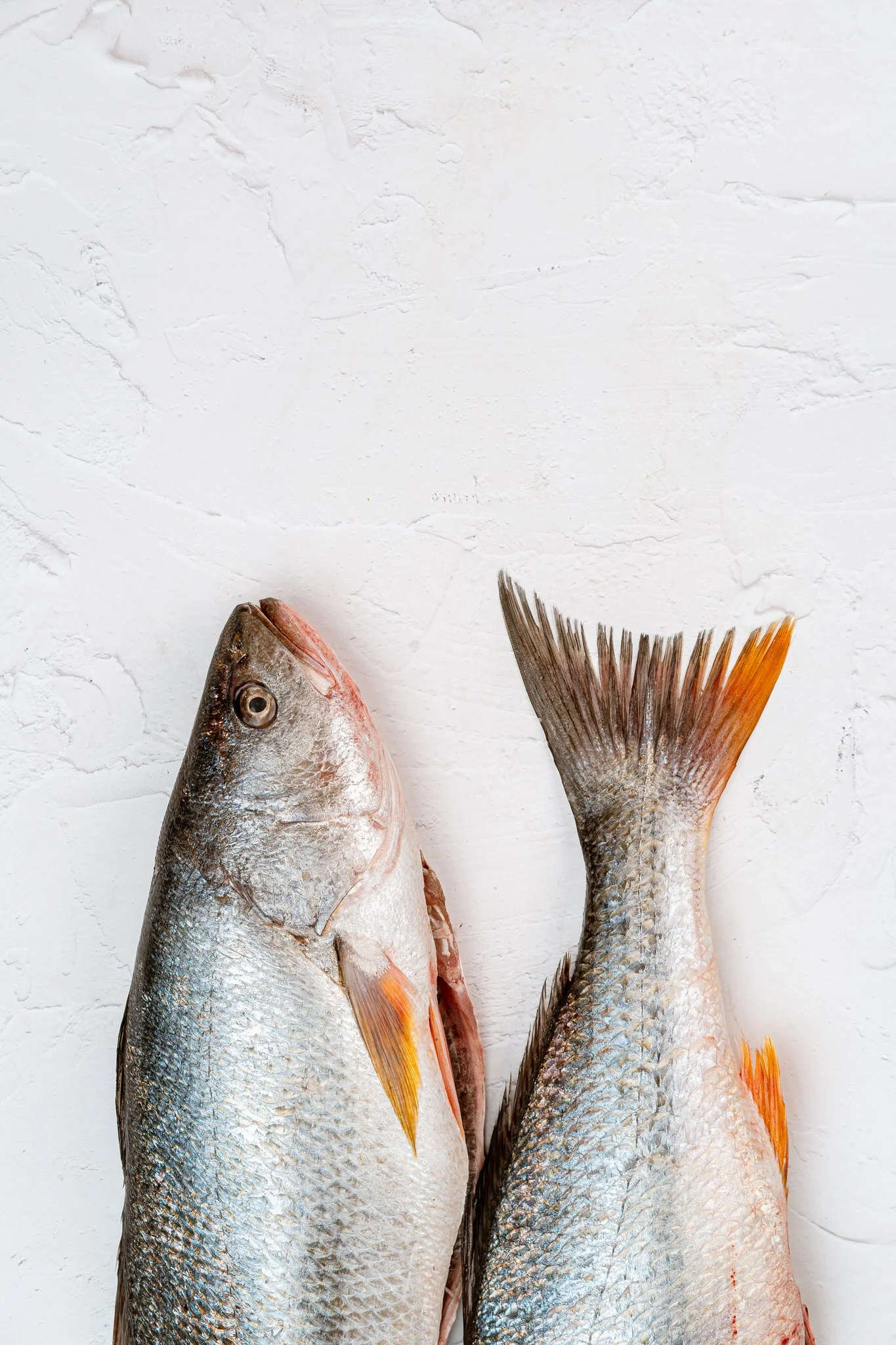 fotografia-producto-pescaderia-conagallas (40).jpg