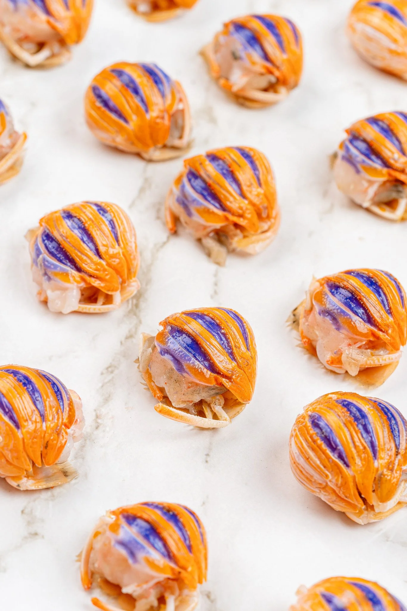 fotografia-producto-pescaderia-conagallas (14).jpg