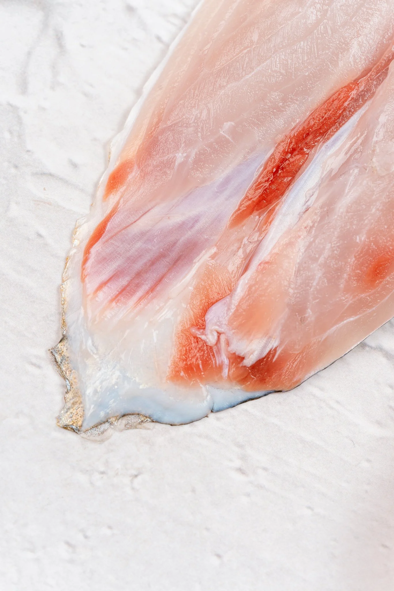 fotografia-producto-pescaderia-conagallas (44).jpg