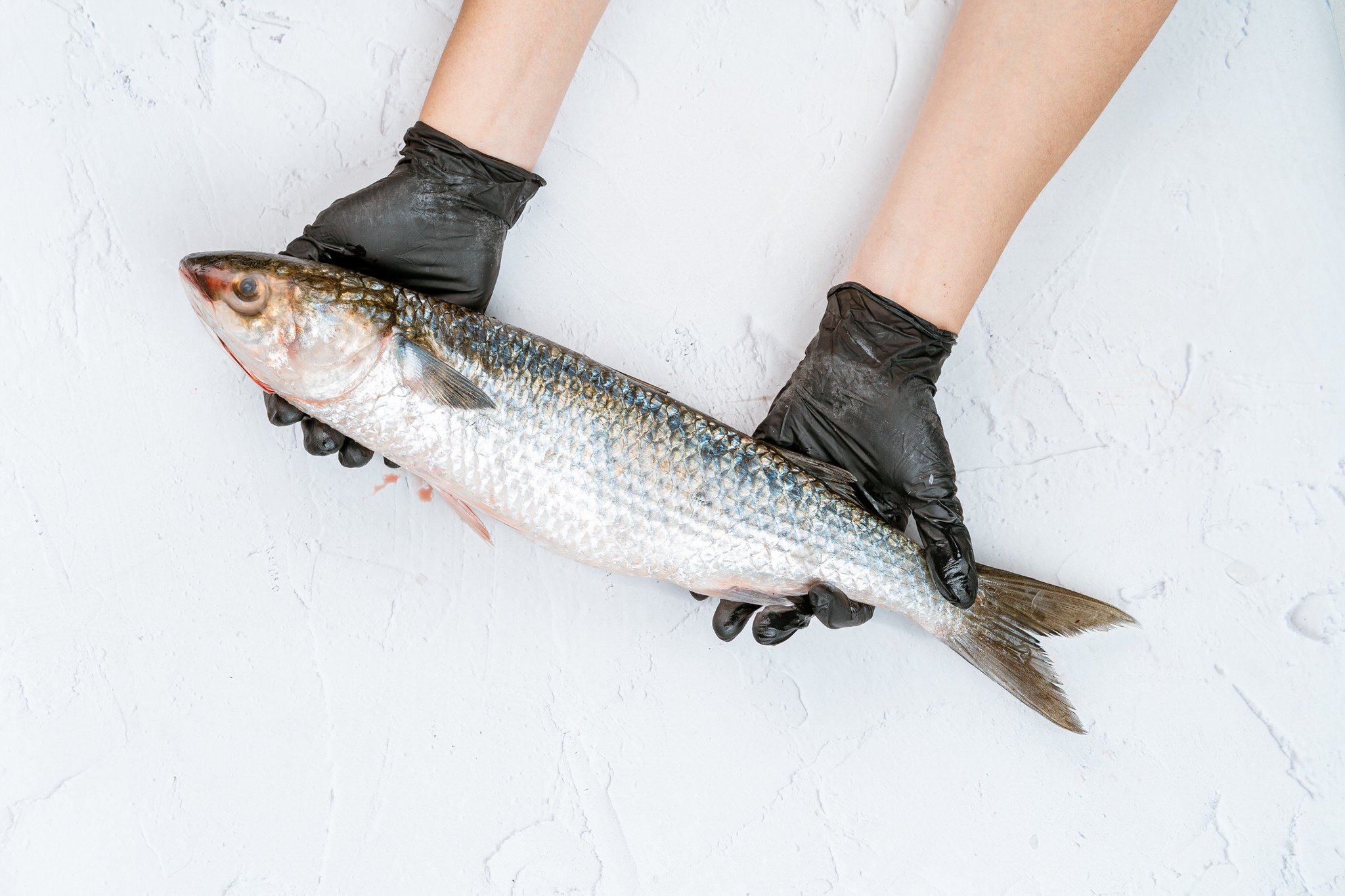 fotografia-producto-pescaderia-conagallas (51).jpg