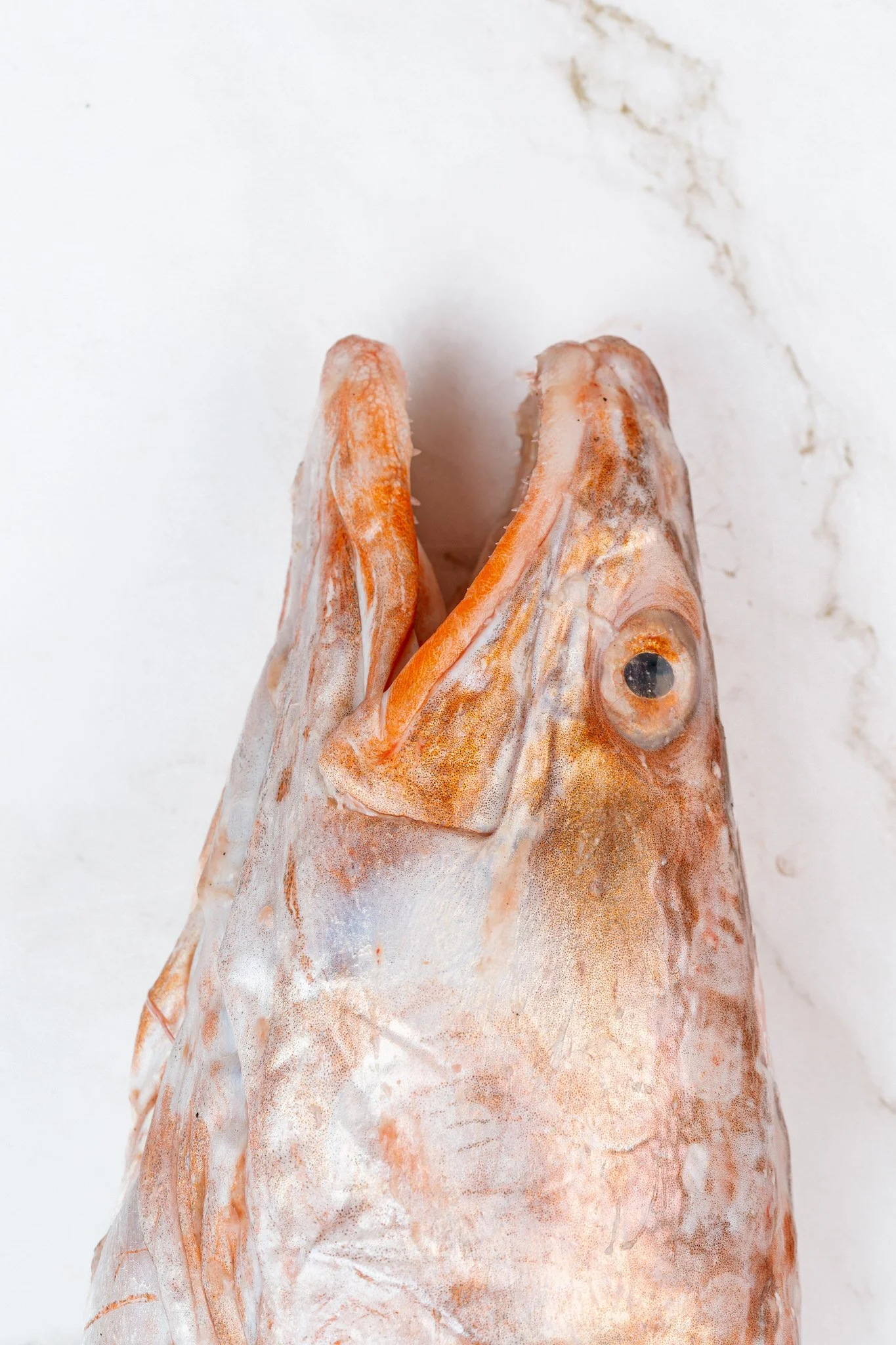 fotografia-producto-pescaderia-conagallas (3).jpg