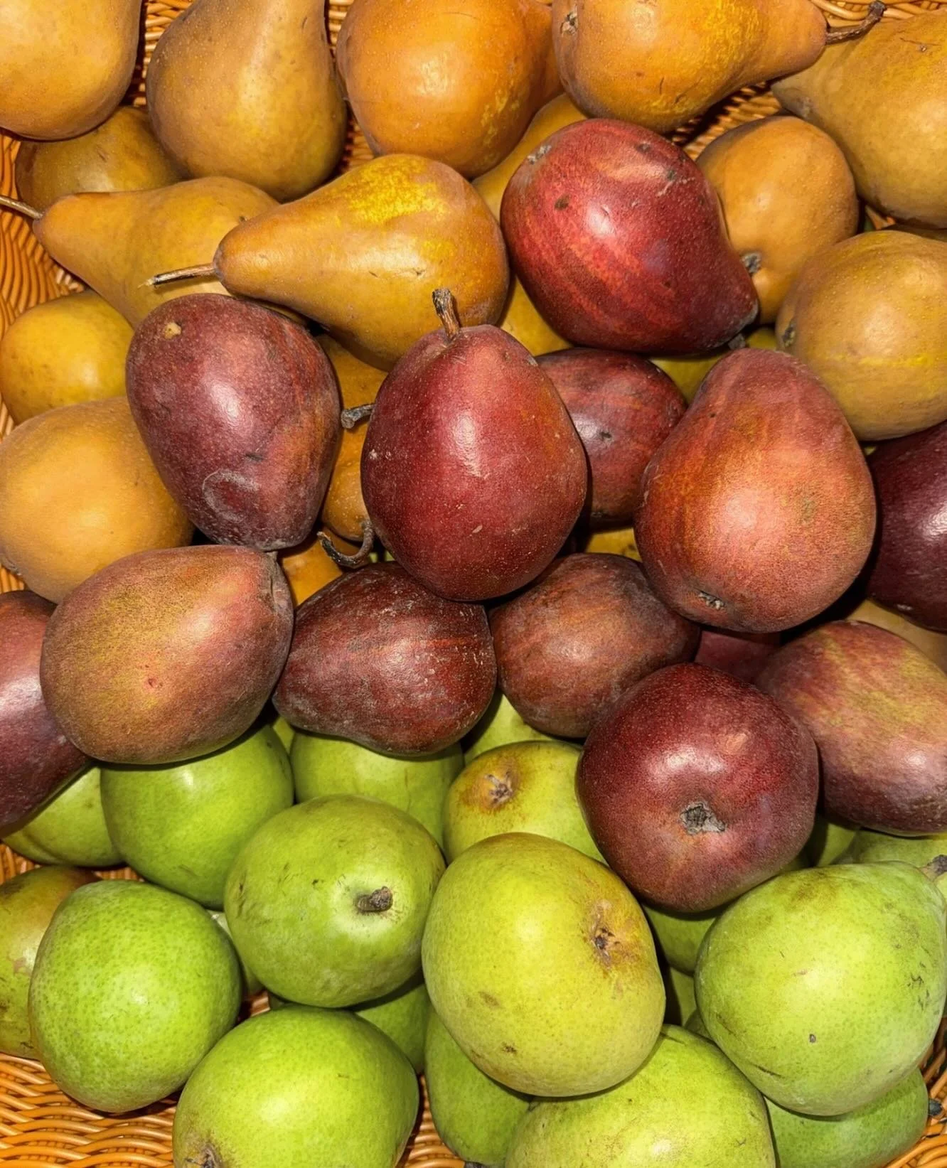 Look at these beauties 🍐🌿 ICYMI! Yesterday we shifted gears and brought fresh produce straight to our community. DM us if you&rsquo;d like produce brought to your door 🧡